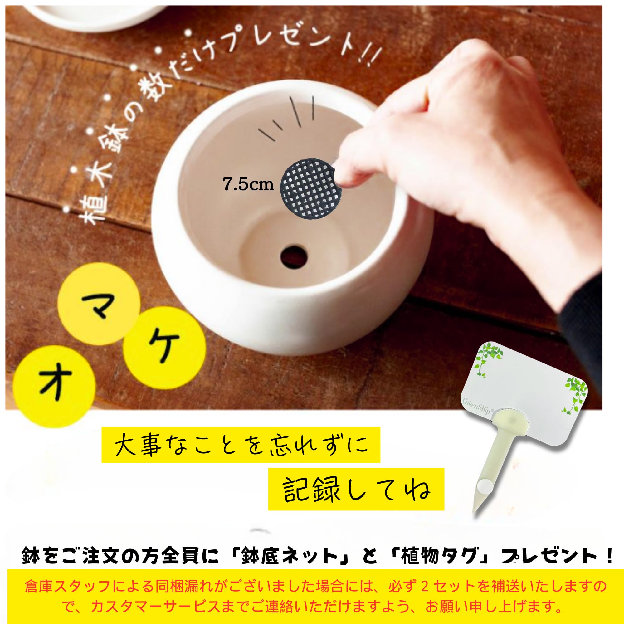 Amazon.co.jp: Greenship 植木鉢 受け皿付き 5号（15.8CM） マット質感