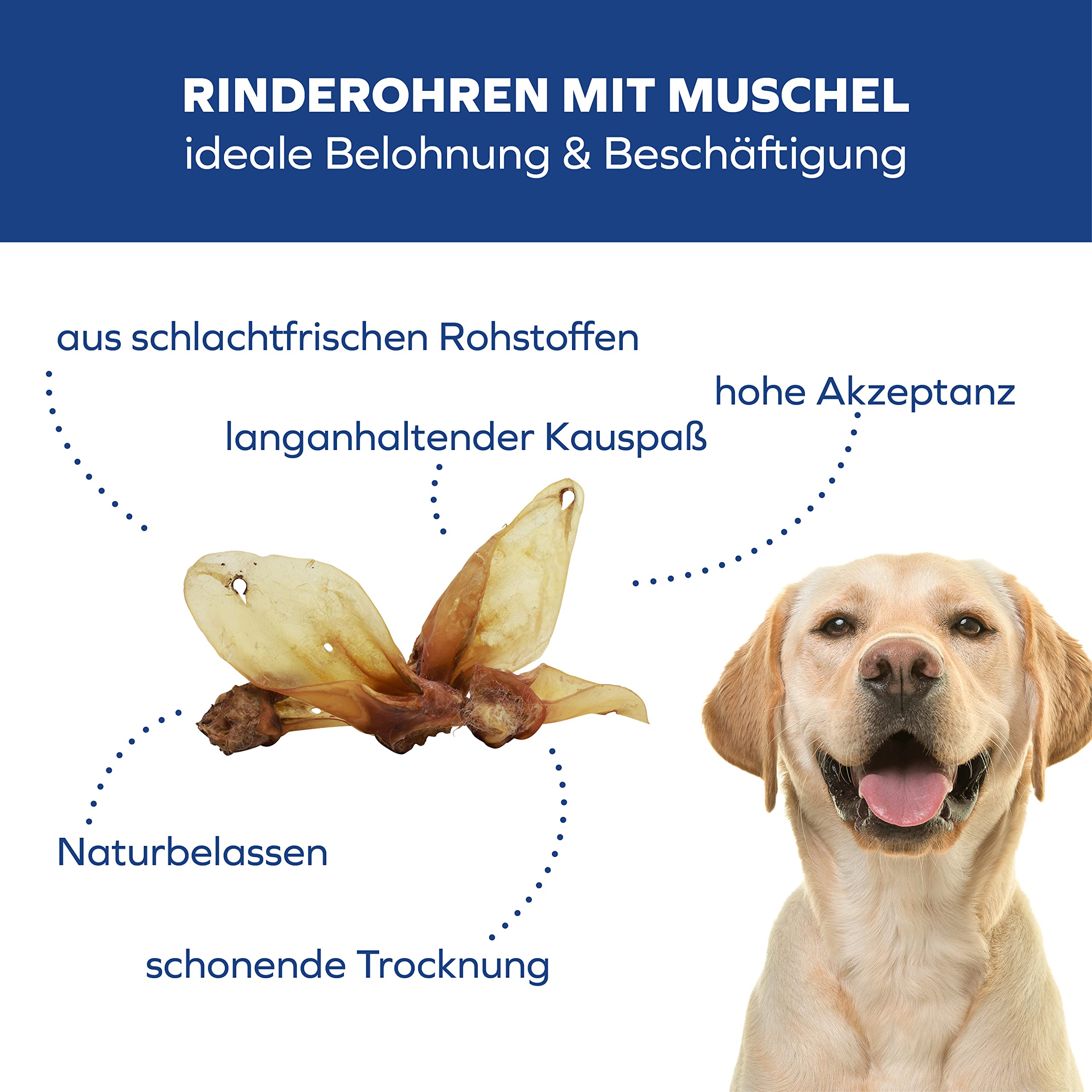 Rinderohren mit Muschel 20 STK - Hundeleckerli für EIN Starkes und sauberes Gebiss – getrocknet