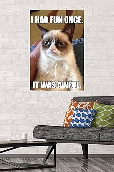 Amazon.com: Trends International Grumpy Cat - Fun Wall