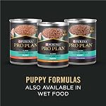 Purina Pro Plan Nourriture Sèche pour Chiots, Développement Peau Sensible & Estomac Saumon & Riz - Sac de 7,26 kg (1 paquet)