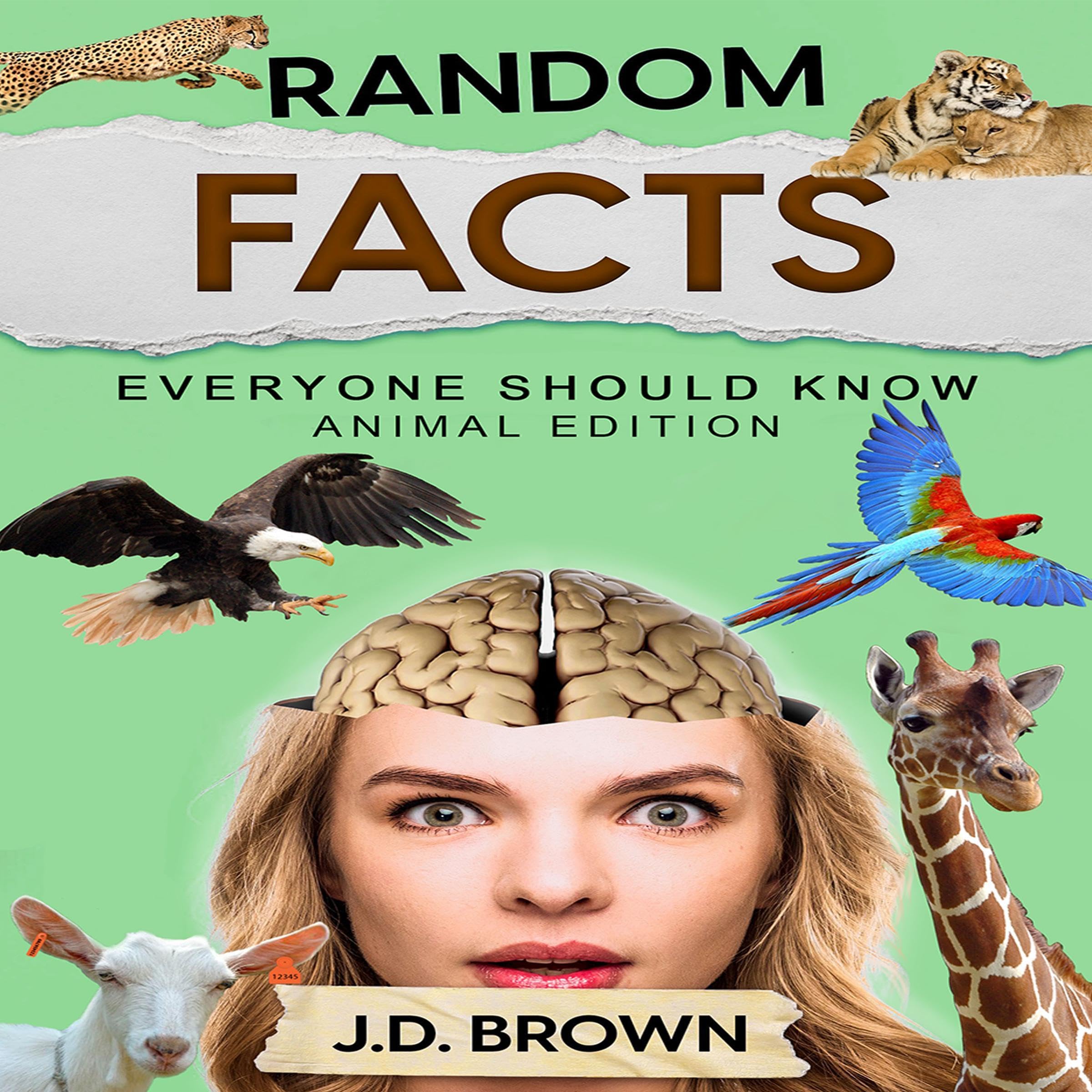 Random Facts Everyone Should Know: Animal Edition