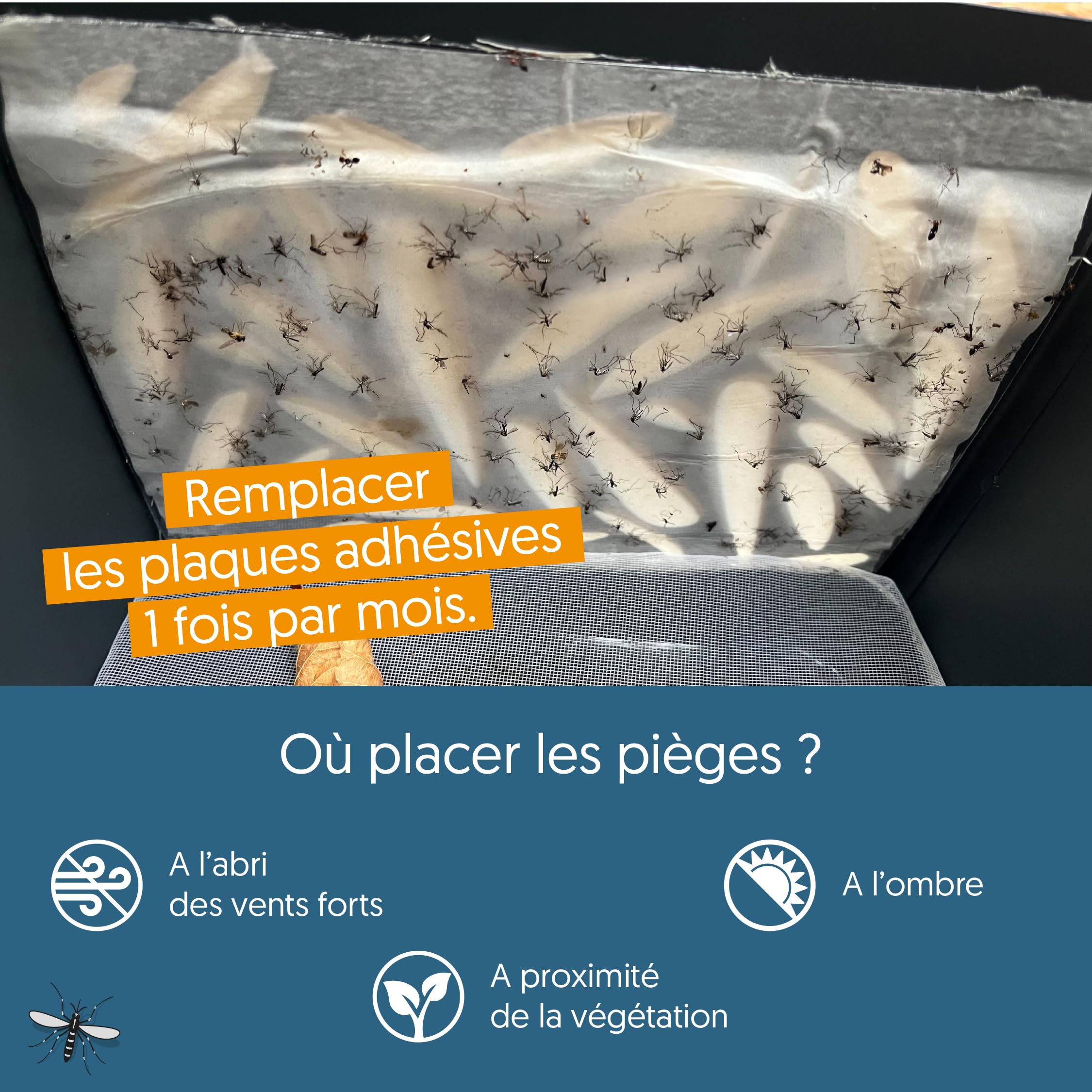 Wiliv x Home Defense Piège à Moustiques & Moustiques Tigres Anti-Ponte - Lot de 2 Pièges Extérieurs - Technologie par Biomimétisme - Idéal Balcon, Terrasse & Petits Espaces