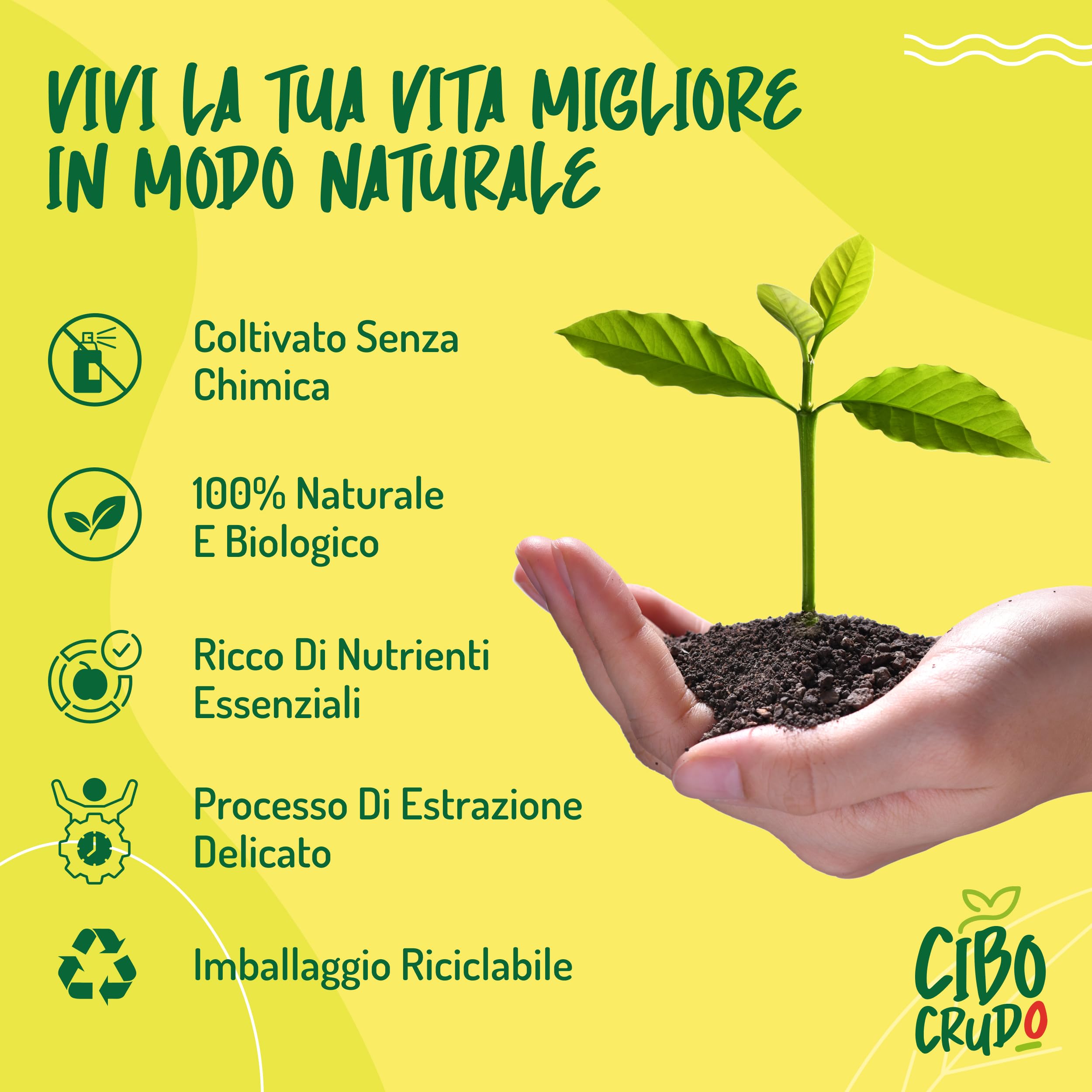 Olio di Semi di Cumino Nero Biologico - 500 ml. Olio di Cumino Nero Biologico da Semi di Cumino Nero o Nigella Sativa.