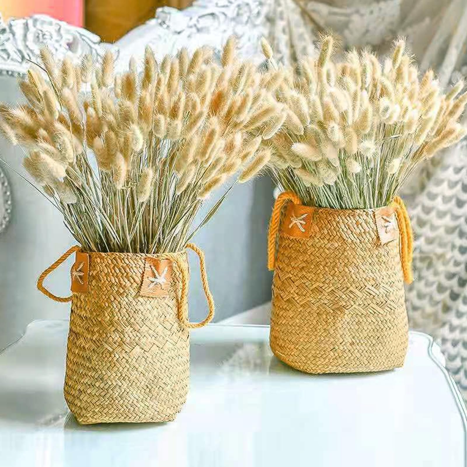 Suszone Ogony Królika, Kwiaty, Lagurus, Trawa Pampasowa - Naturalna Dekoracja do Aranżacji Kwiatowych, Boho, Bukietów Ślubnych i Domu