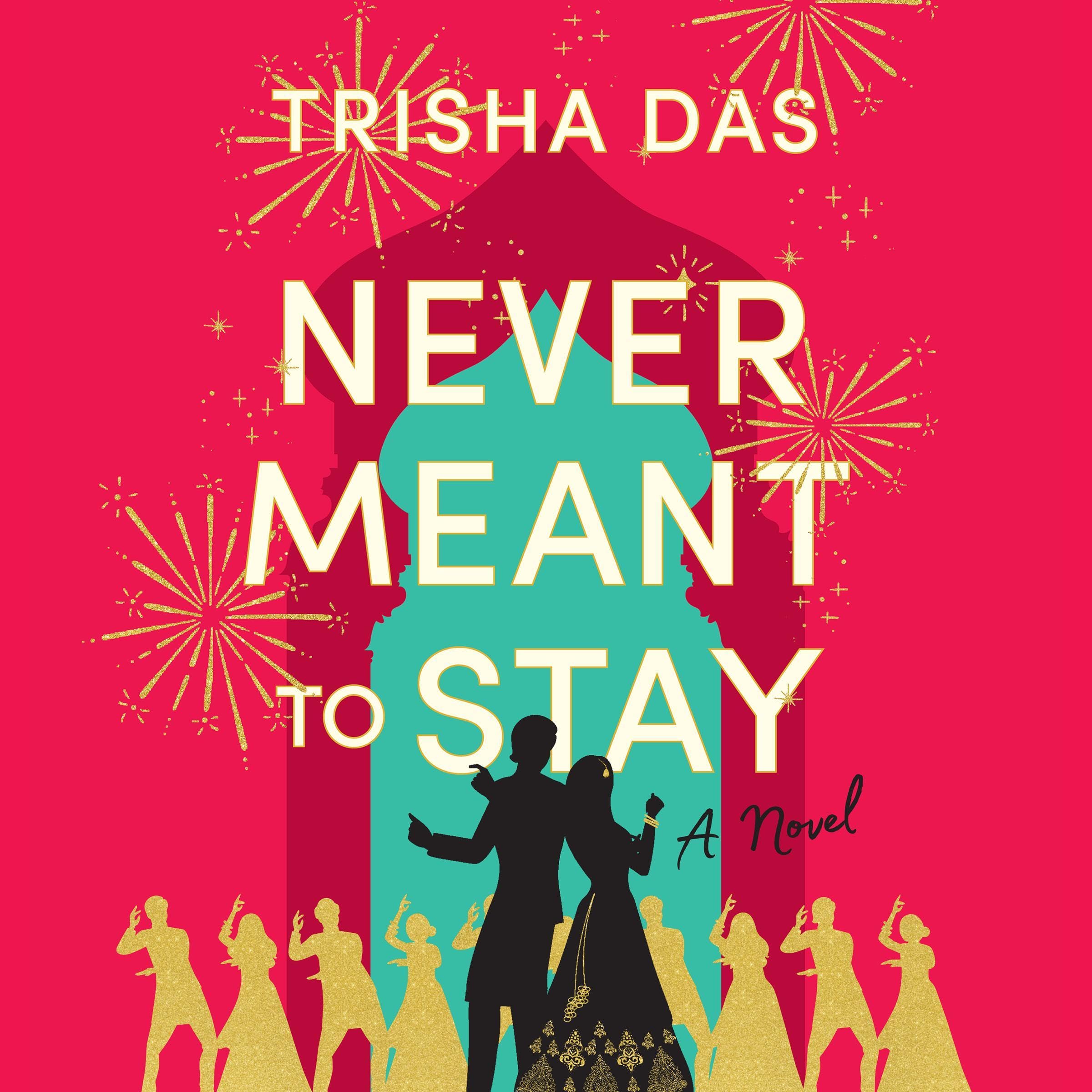 Never Meant to Stay: A Novel