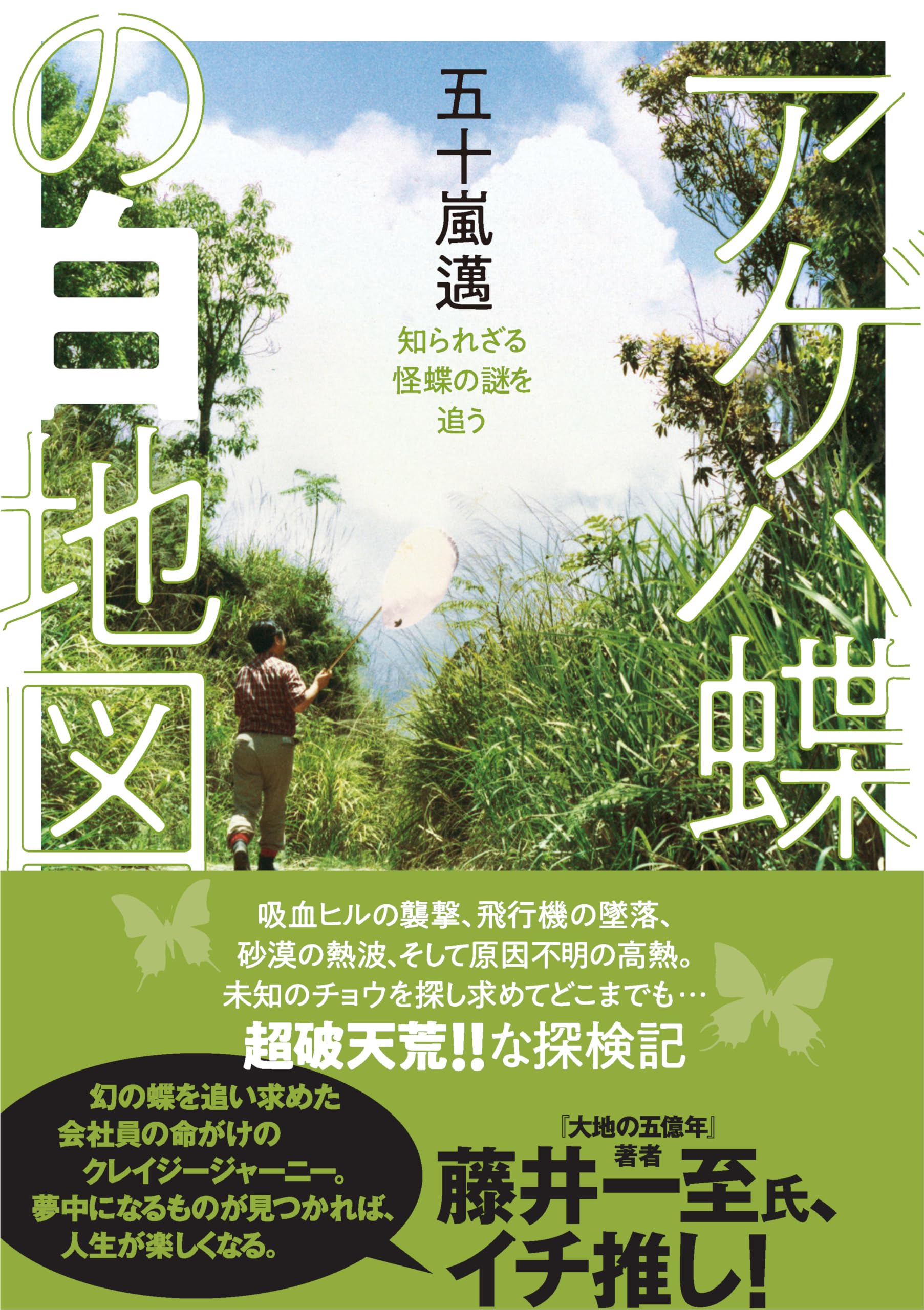 ヤマケイ文庫 アゲハ蝶の白地図 知られざる怪蝶の謎を追う | 五十嵐 邁