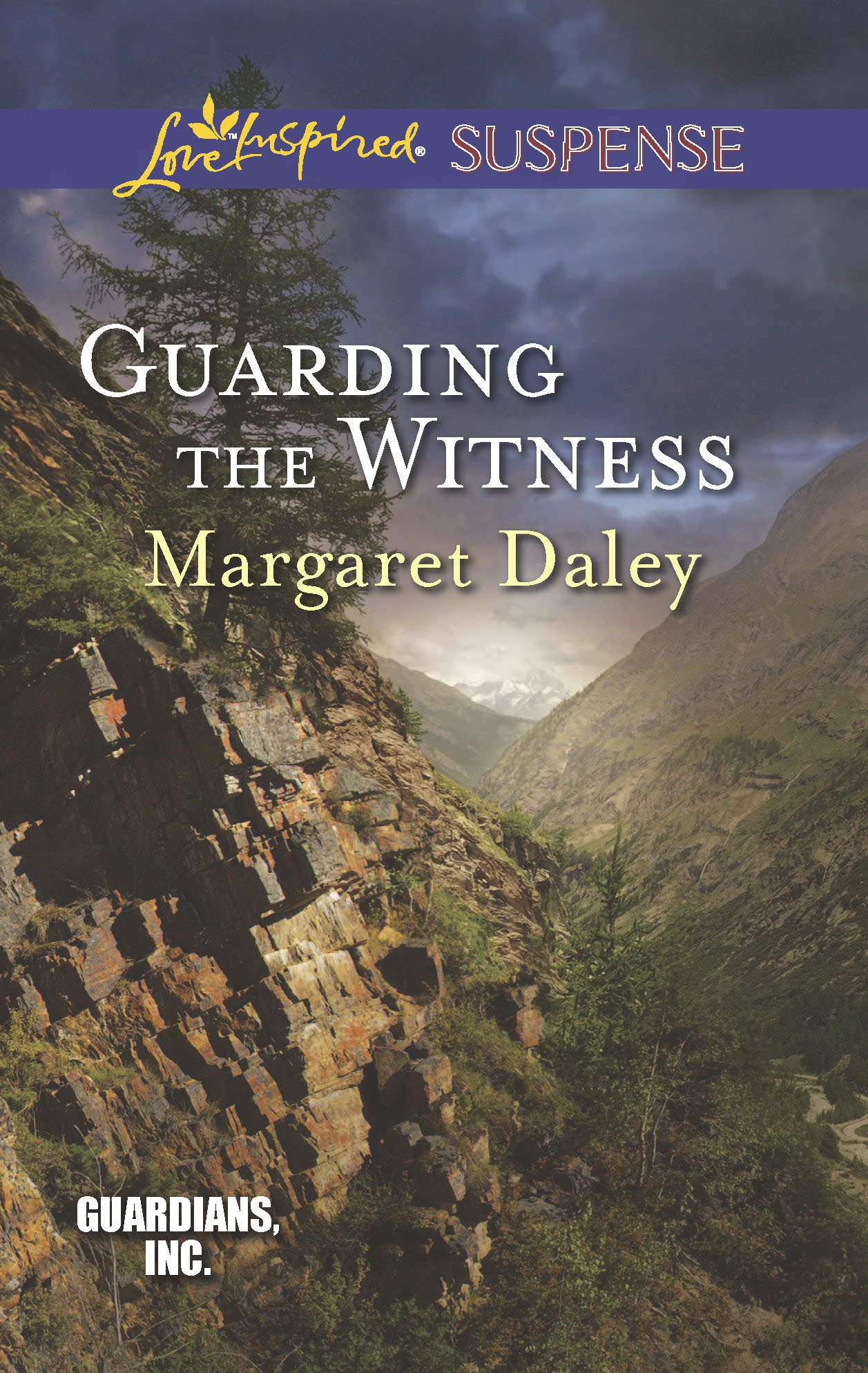 Guarding the Witness (Love Inspired Suspense: Guardians, Inc.)