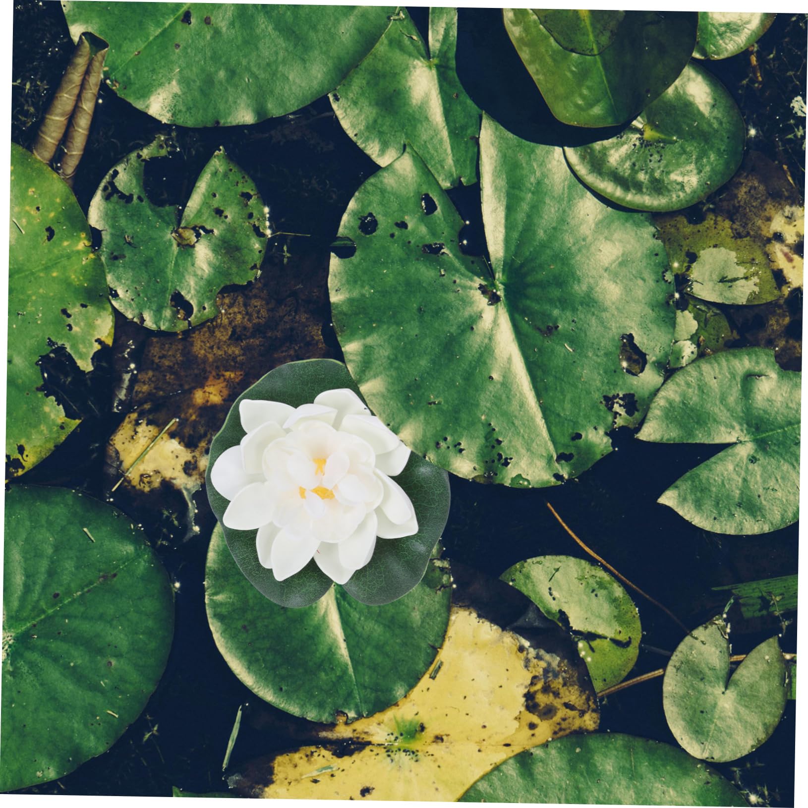 VALICLUD 4 pièces Fleurs de Lotus Artificielles Flottantes de Eva pour Bassins Aquariums et Décoration Naturelle Sécurisée pour Poissons Rouges Violettes Roses et Blanches
