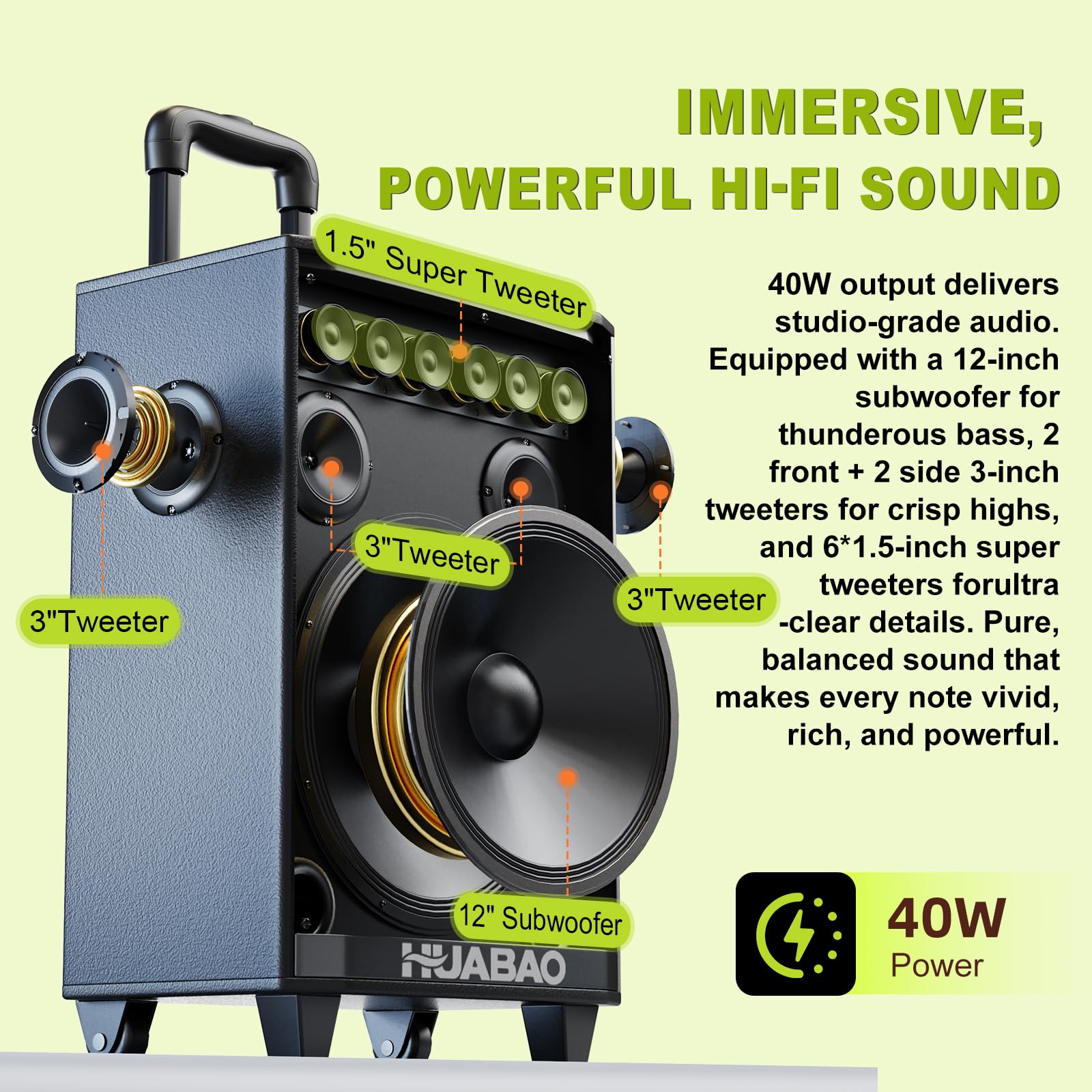 Altavoz Bluetooth Grande para Karaoke con 2 micrófonos inalámbricos, Sistema de 11 Altavoces con batería de 8800 mAh, Sistema PA con Ruedas y Luces, Mando a Distancia, FM/AUX/USB/TF, Graves y Agudos