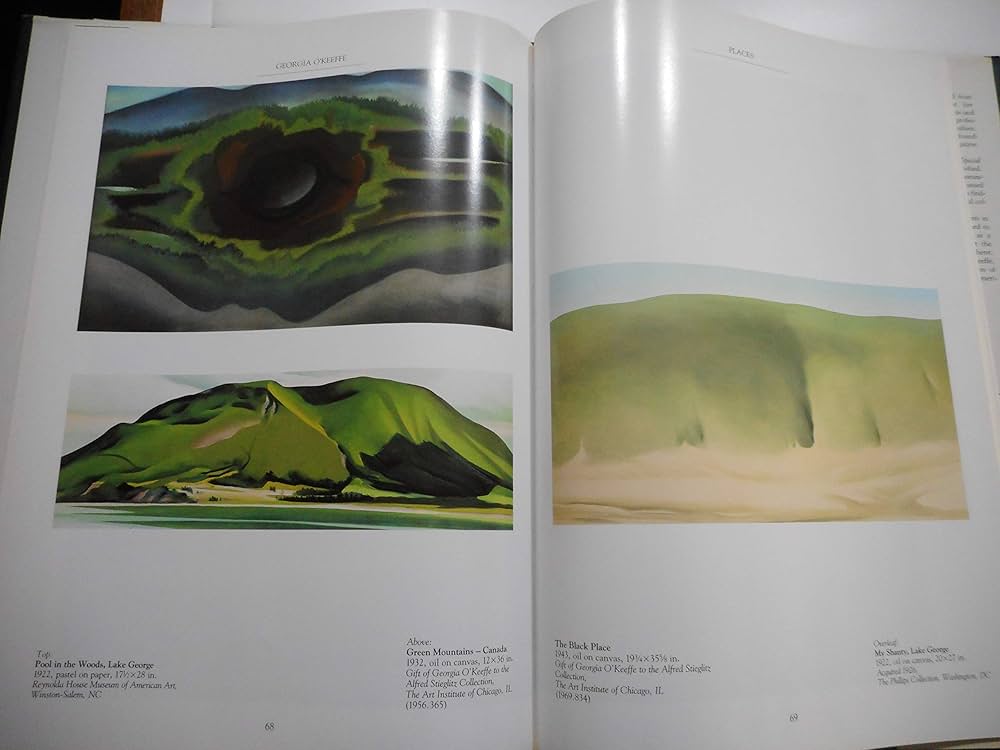 洋書 ia O'Keeffe Georgia O'Keeffe, 1887-1986: Flowers in the Desert: Benke, Britta