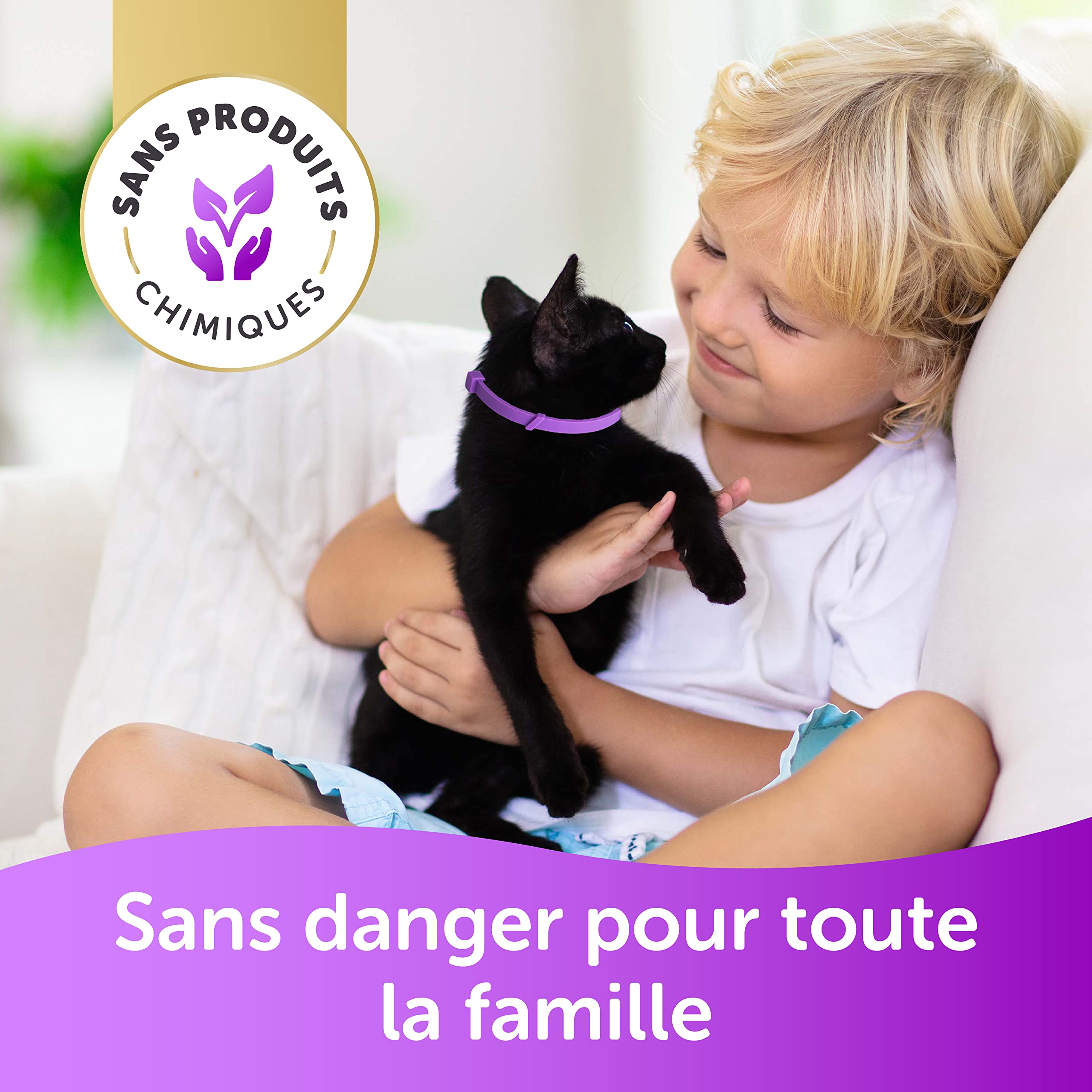 Collier Chat Ajustable - Traitement Anti-puces, Anti-Poux et Anti-tiques - Protection de Huit Mois - Imperméable - 33 cm - Violet - Toldi