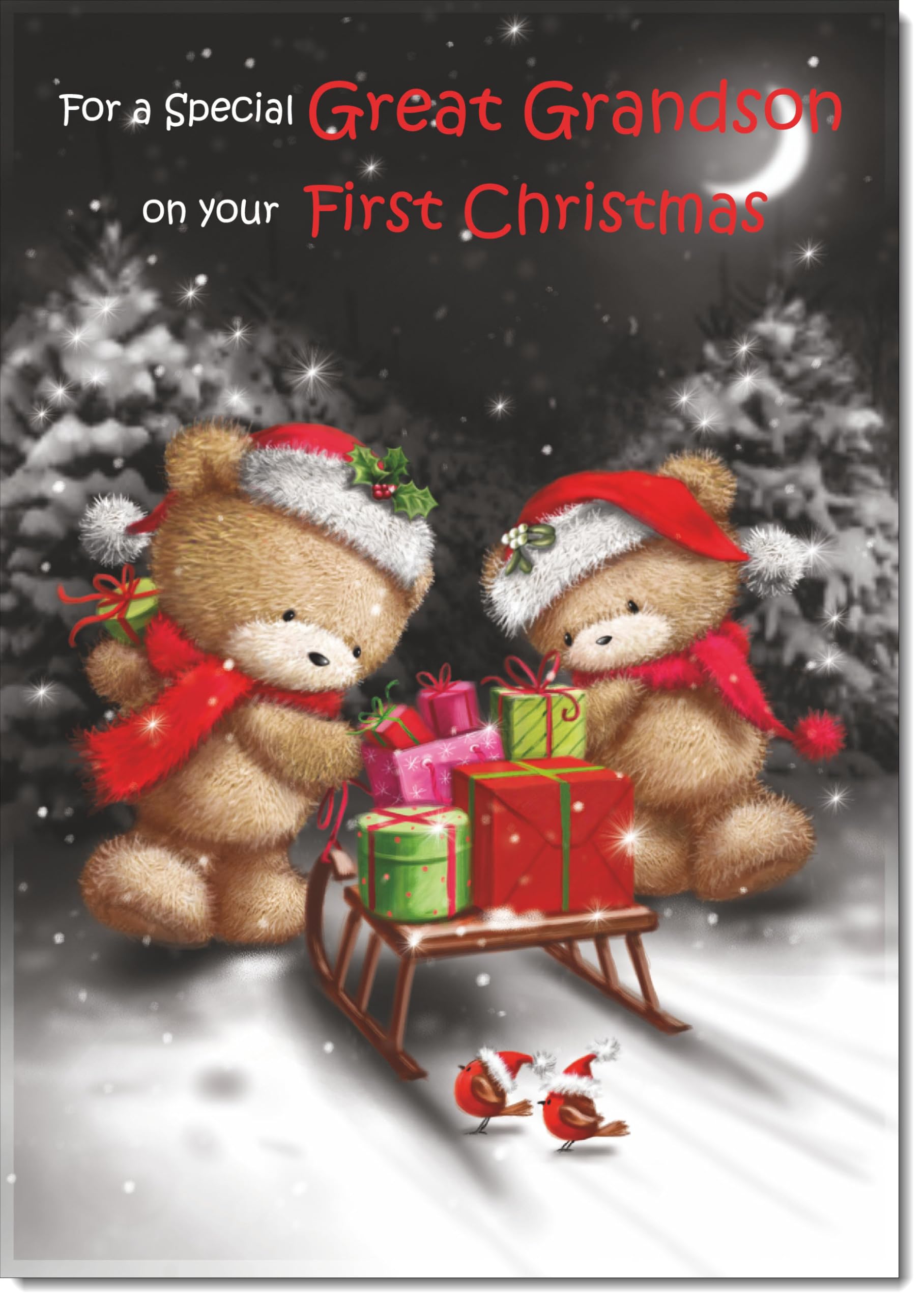 doodlecards Great Grandsons 1st First Christmas Card Cute Bears at Night Large A4 Size Christmas Card for Great Grandsons 1st with Plain Envelope โ image 1