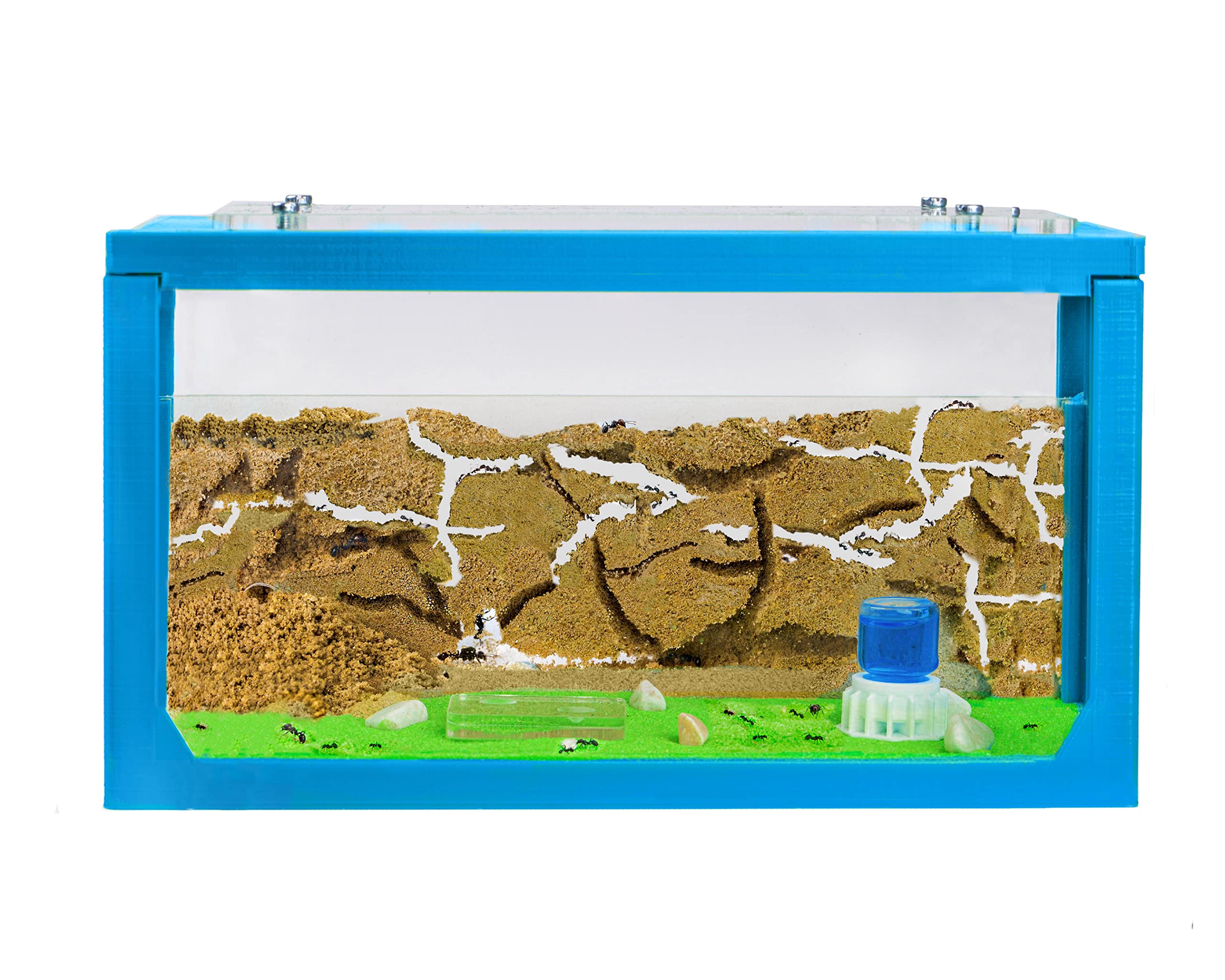 AntHouse - Hormiguero de Arena Natural - Juego de iniciación 3D 20x10x10 cm Azul - Incluyendo Hormigas
