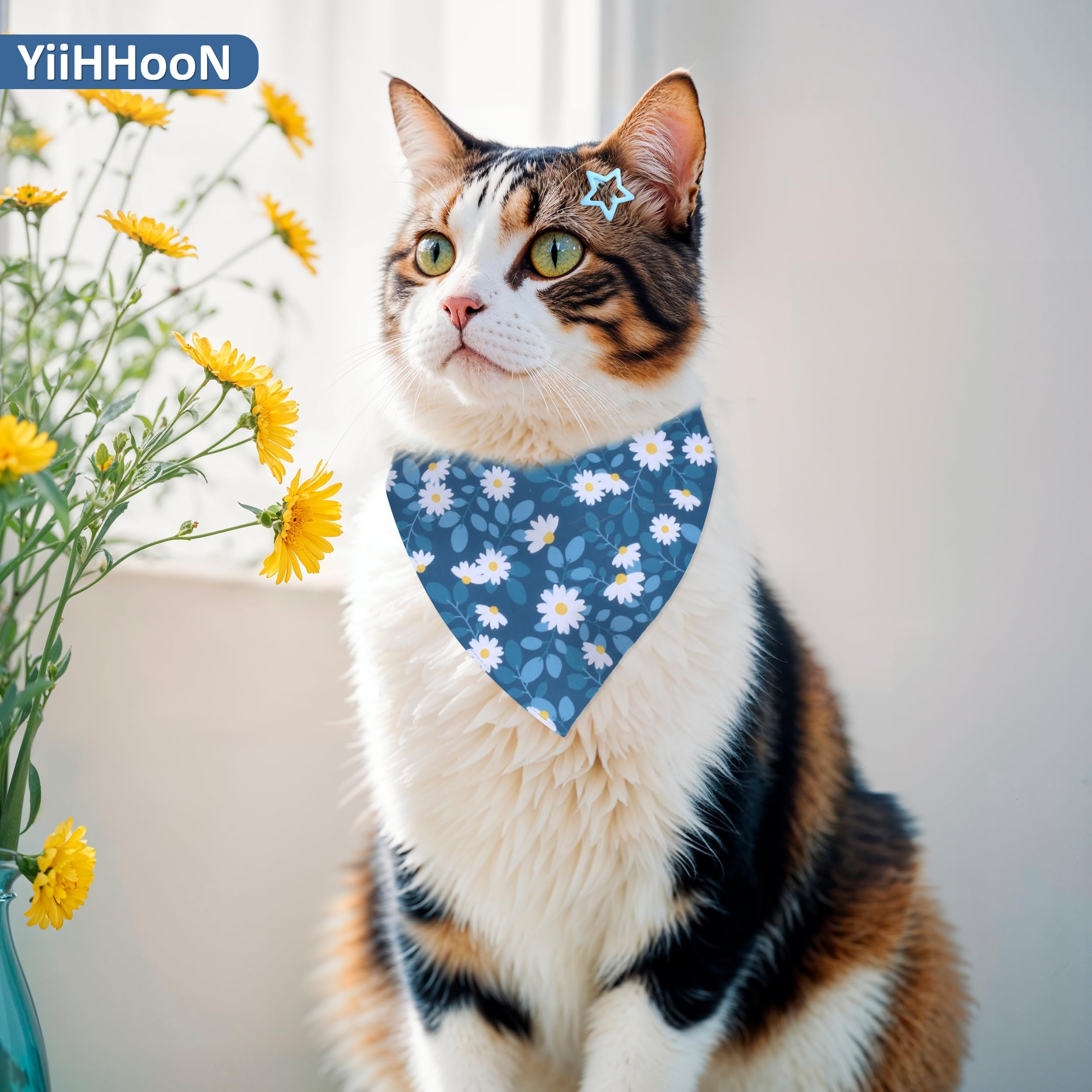 Hunde Bandana Kopftücher, 6 Stück Hundehalstuch und 6 Stück Stern Haarspangen, Hundebandana Dreieckstuch Hundehalstücher Katzenhalstuch für Kleine Mittel Hunde Katzen