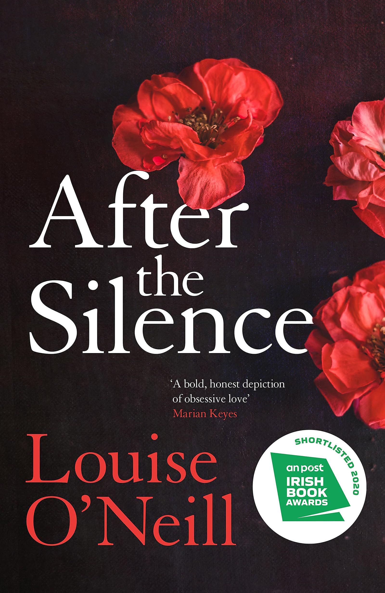Buy AFTER THE SILENCE: The An Post Irish Crime Novel of the Year (Planet Omar) — BookShops.in
