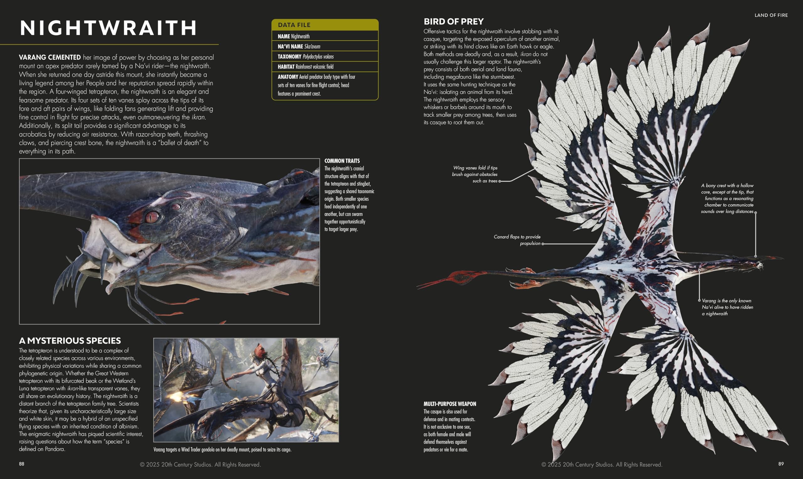 Avatar Fire and Ash The Visual Dictionary