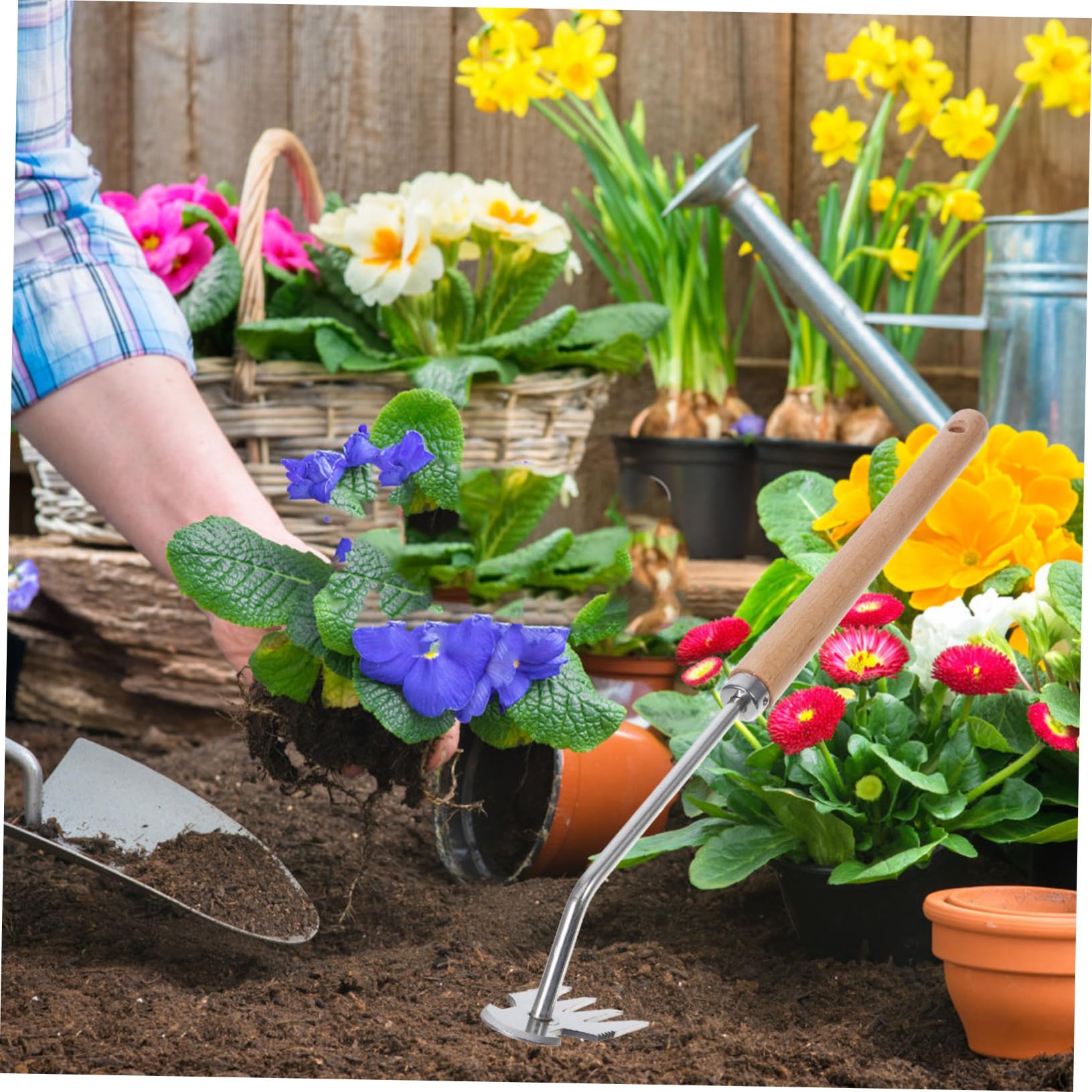INOOMP 5stücke Gartenwerkzeug Zum Entfernen Von Unkraut Zahn Handweeder Aus Edelstahl Mit Ergonomischem Holzgriff Für Effektives Wurzeljäten Im Garten Und Dem Rasen