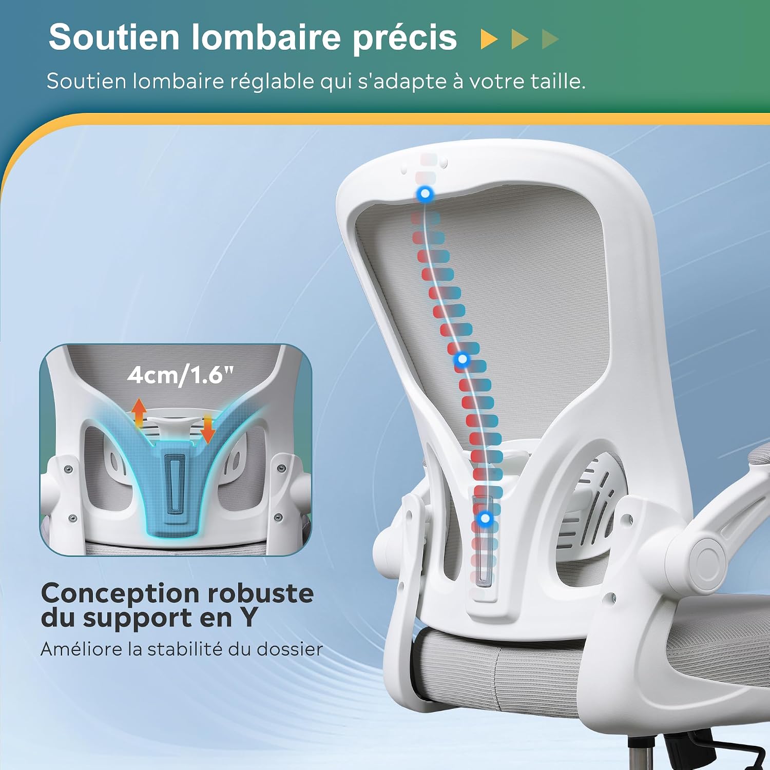 Detallada view of the adjustable Y-shaped lumbar support on the DEVAISE office chair
