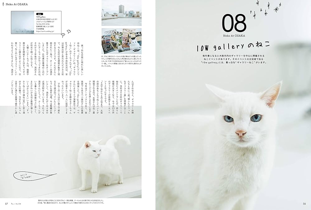 ねこ 2018年11月号 Vol.108【別冊付録:カレンダー】 |本 | 通販
