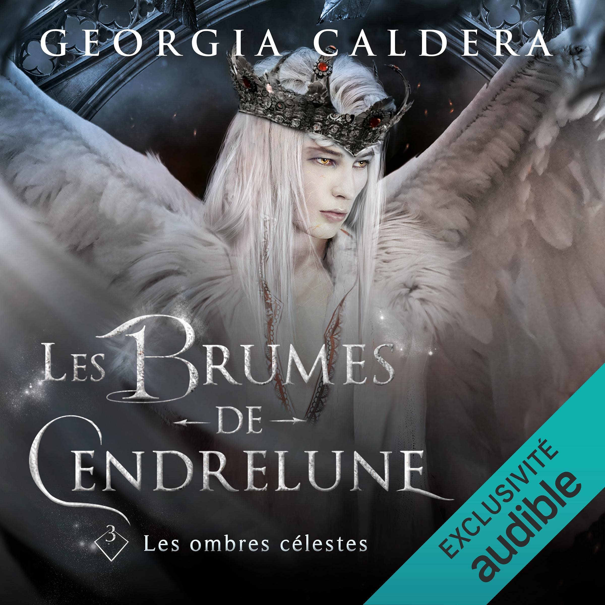 Cover art for Les Ombres Célestes