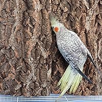 Vista 4 de Paquete de 2 perchas de corcho 100% natural de 16 x 12 pulgadas, tablas de asiento de corcho para pájaros, accesorios de decoración de corteza