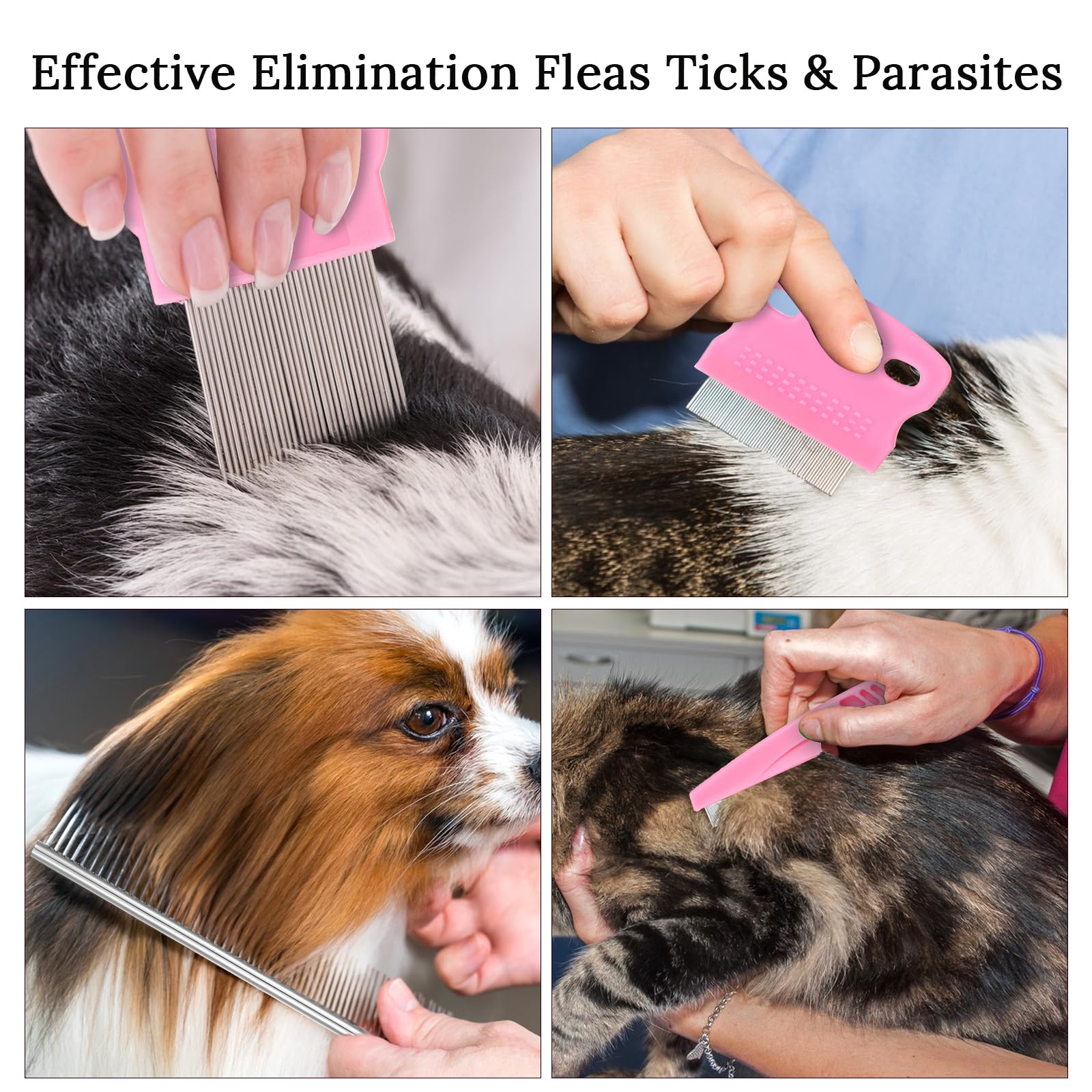 Lot de 7 peignes professionnels anti-puces et tiques pour chiens et chats – Kit de toilettage en acier inoxydable à dents fines et larges pour enlever les poux, les nœuds et les taches de déchirure