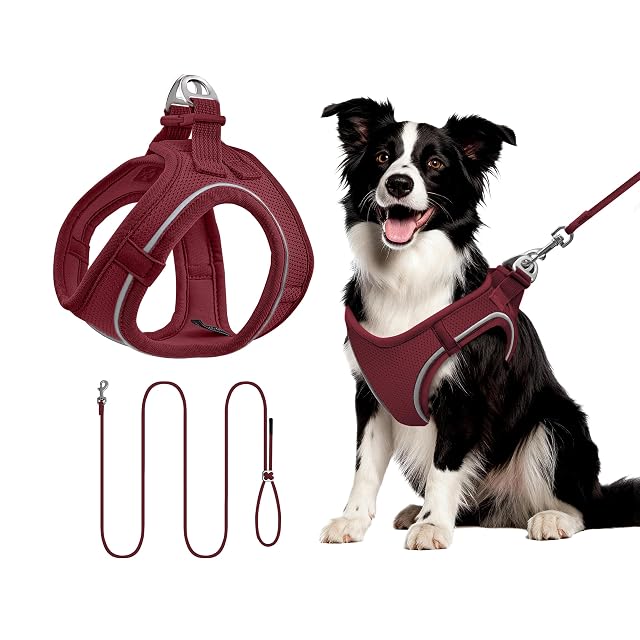 Arnés para Gatos con Correa 255cm L (Pecho 45-55cm) Burdeos