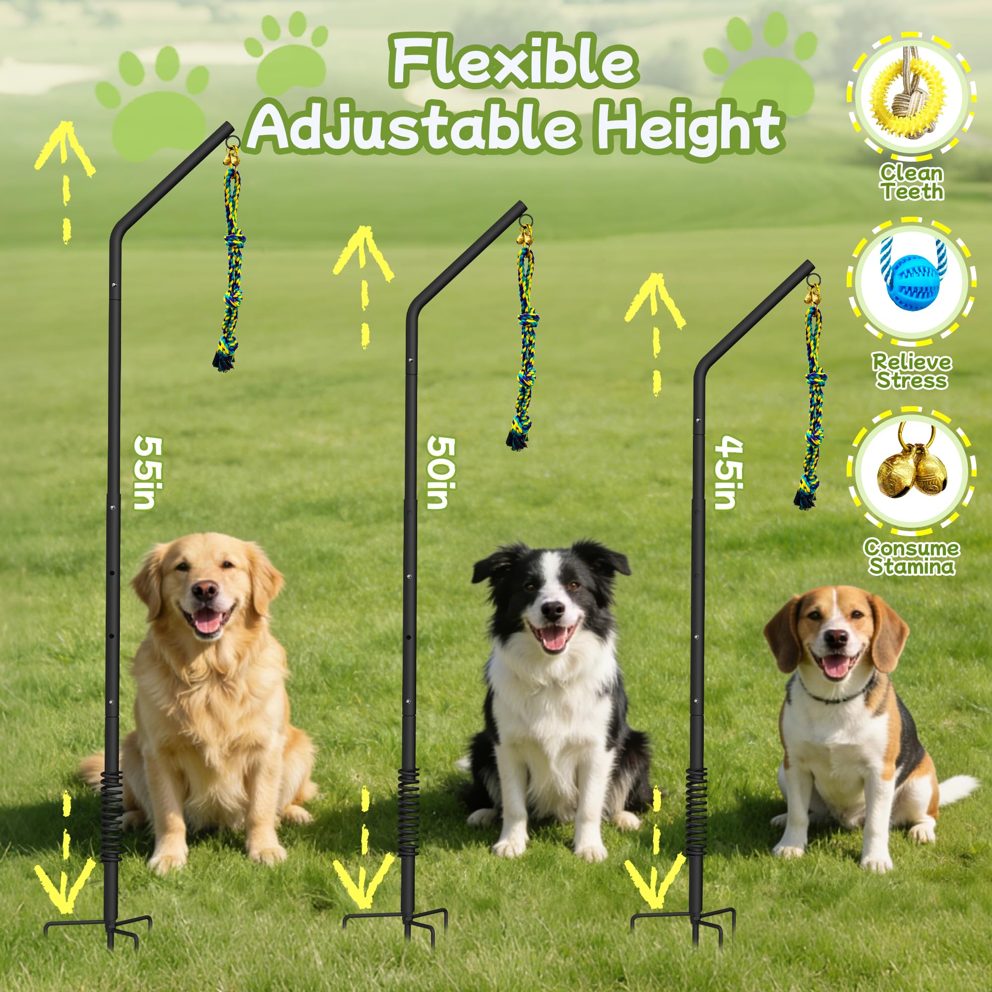 Tether - Giocattolo per cani con asta a molla regolabile in altezza, 3 tipi di giocattoli per cani da tiro alla fune, per giochi da soli e interattivi in parco, cortile, prato, adatto per cani
