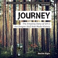 Algopix Similar Product 8 - Journey The Amazing Story of OR7 the