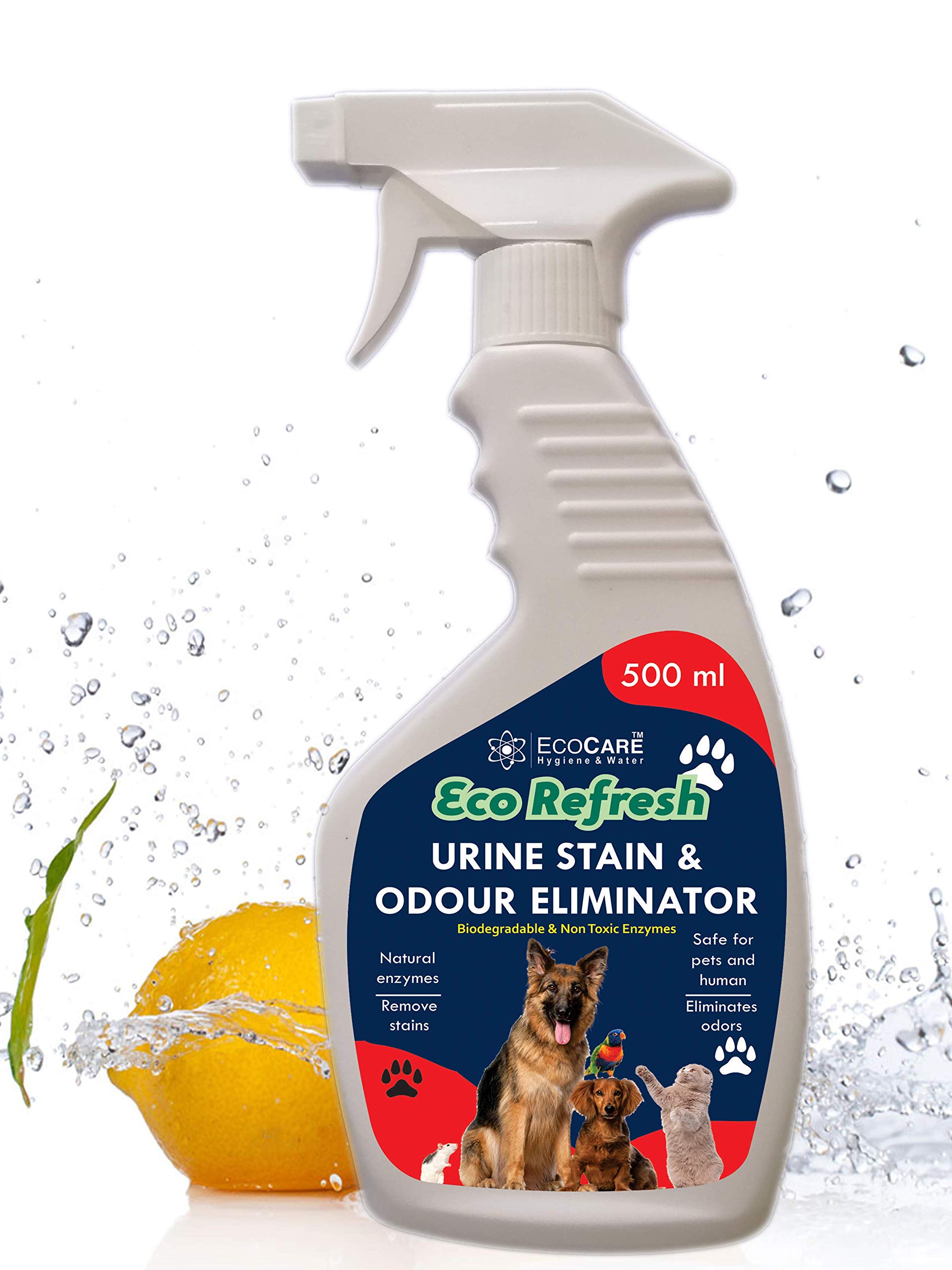 Is Dog Urine And Feces Harmful To Humans