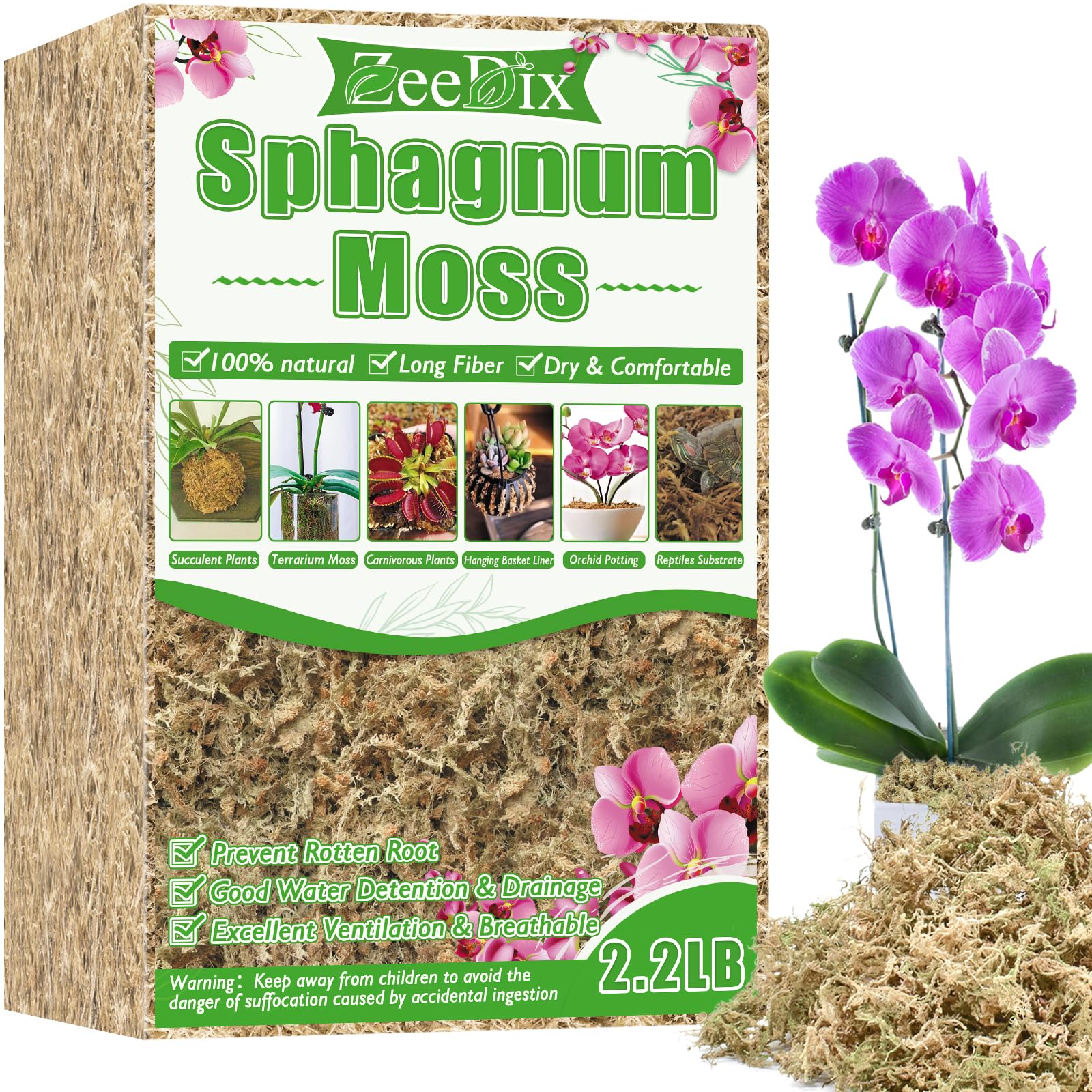 Amazon.com : ZeeDix 2.2 lb Premium Sphagnum Moss Bulk, Natural