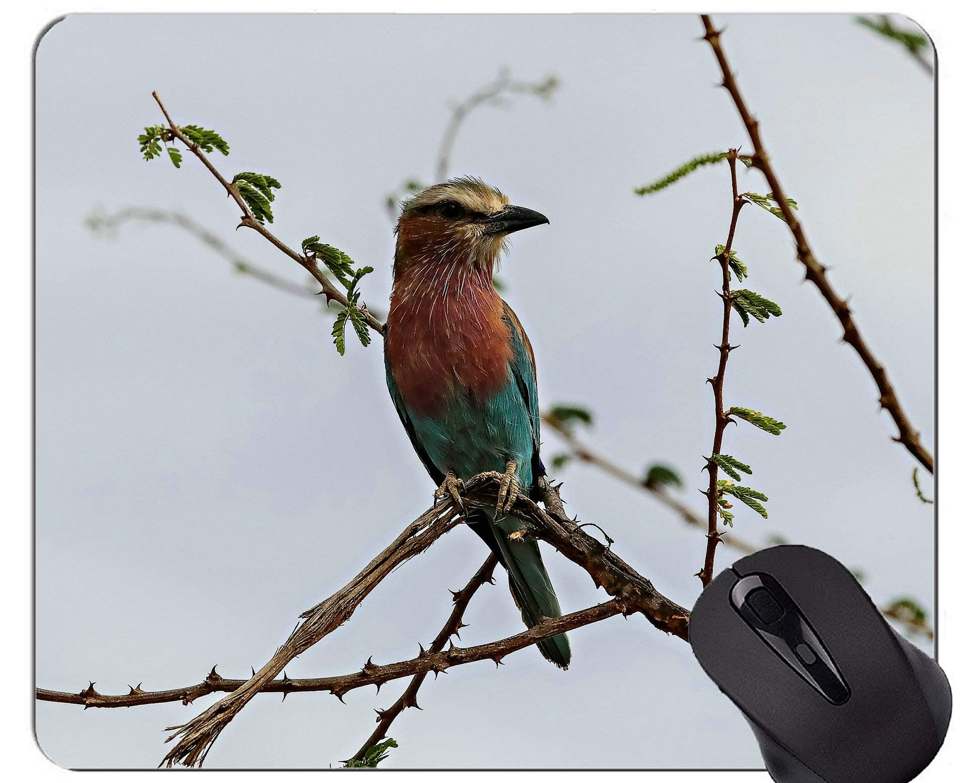 Gaming Mouse Pad Custom,Kenyan bird European bee Mouse Mat