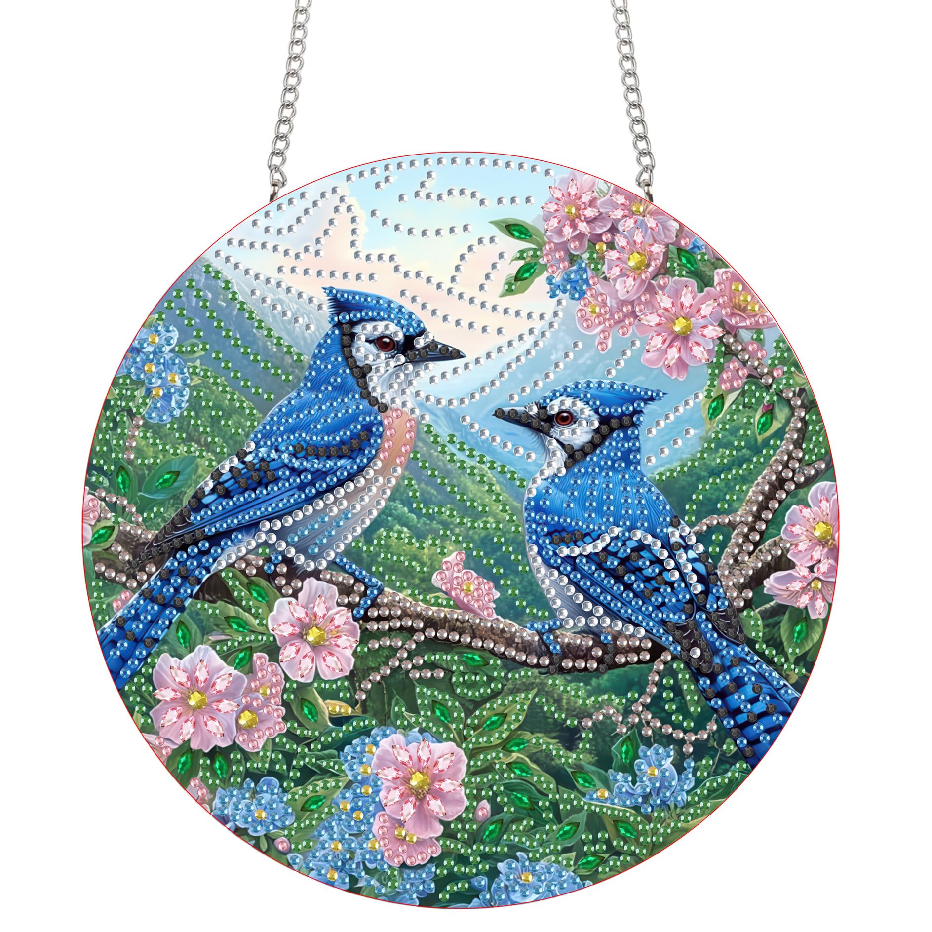 Bimkole Bird Hanging Diamond Pearl Art Kits for Adults Pendant C30