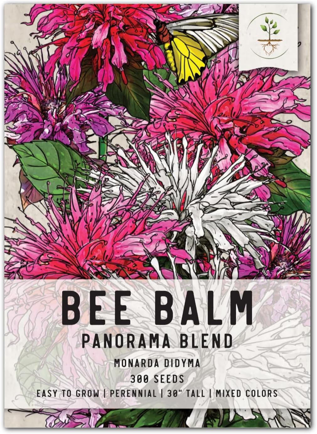 Seed Needs Panorama Mixed Bee Balm Seeds for Planting - Heirloom & Open Pollinated Perennial - Mixture of Colorful Flowers to Grow a Butterfly Garden (1 Pack)
