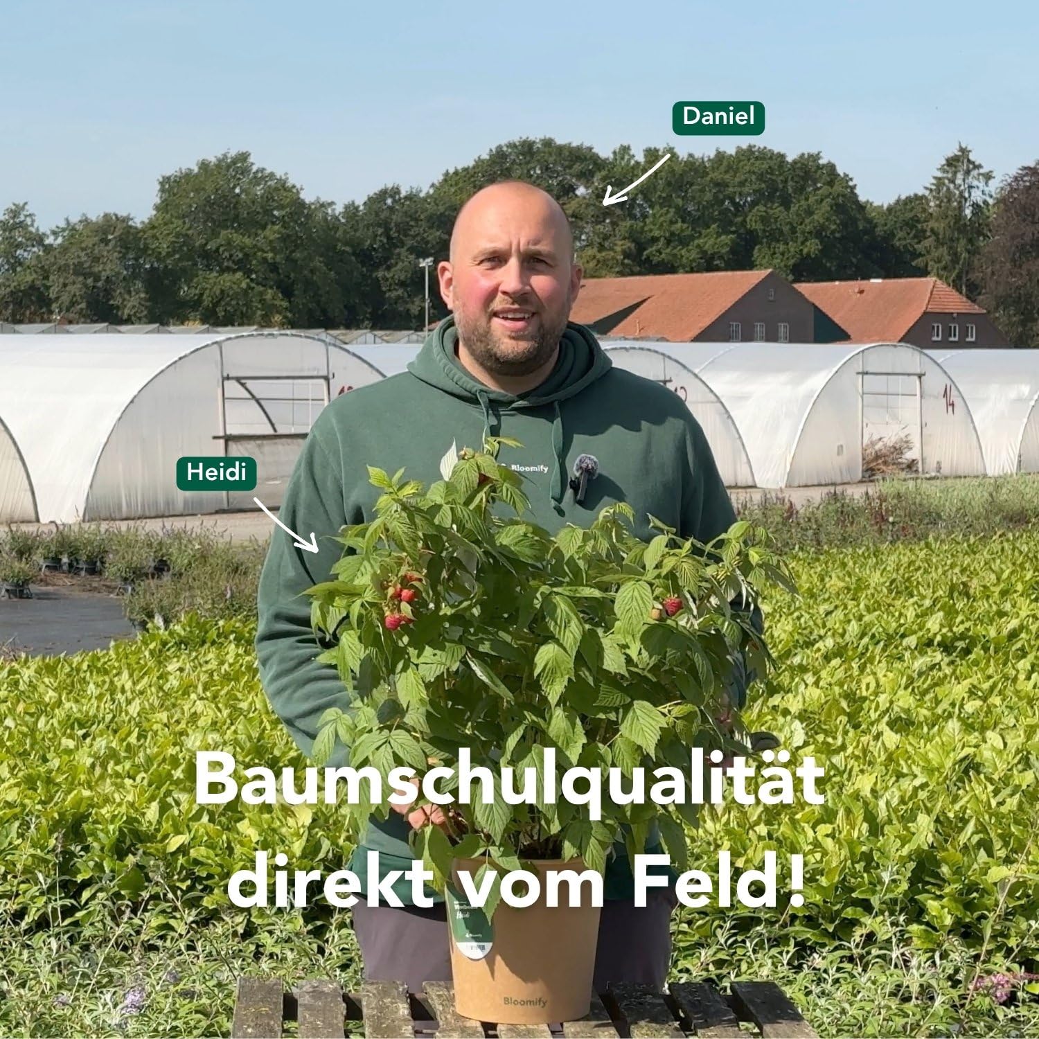 Bloomify® rote Bio Balkon-Himbeerpflanze "Heidi" | 60 bis 80 cm großer ertragreicher Himbeerstrauch | winterharte und pflegeleichte Himbeere für Balkon oder Terrasse | süße, leckere Früchte
