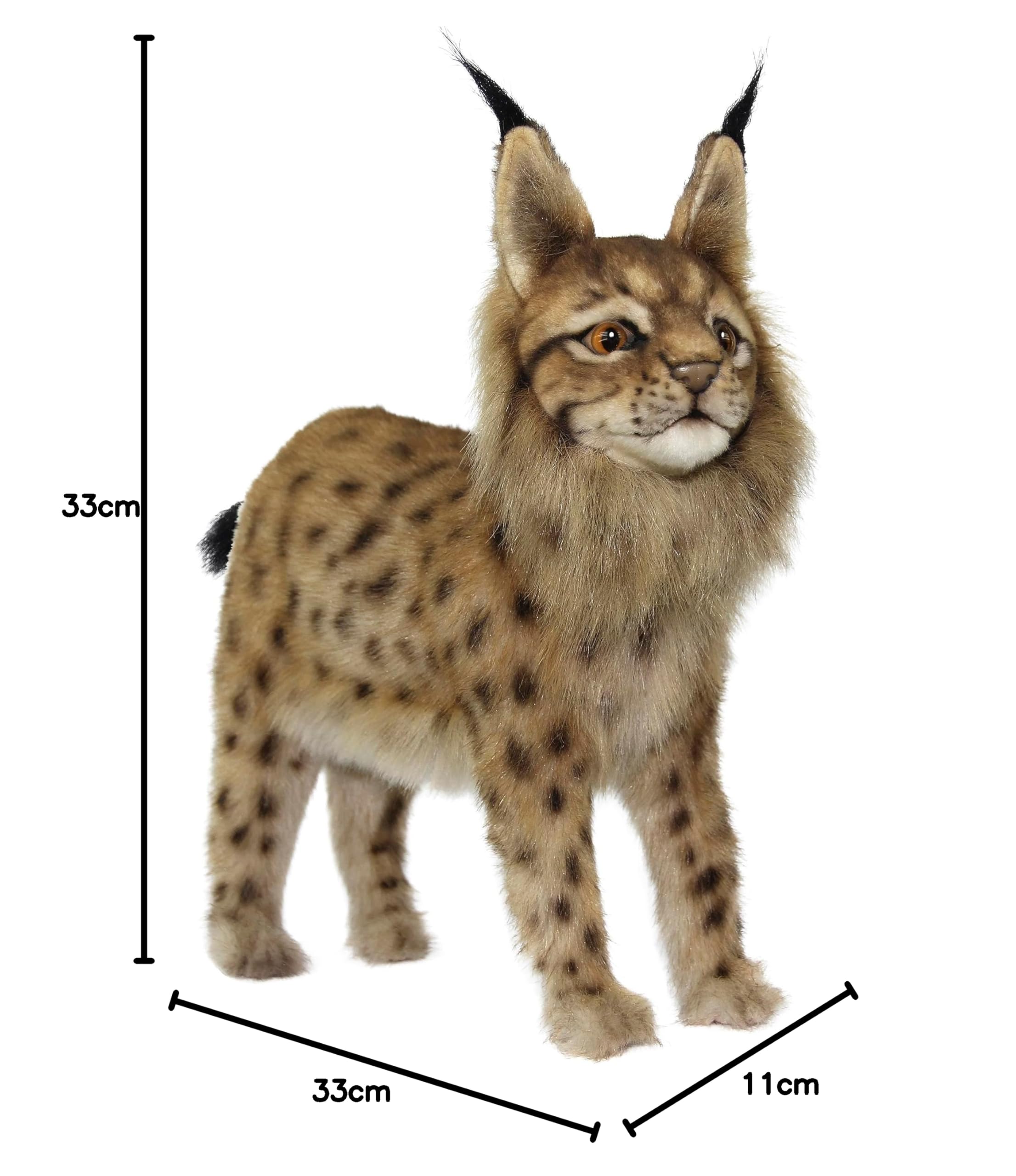 Amazon.co.jp: ハンサ(HANSA) BH8070 ヨーロッパオオヤマネコ 33cm