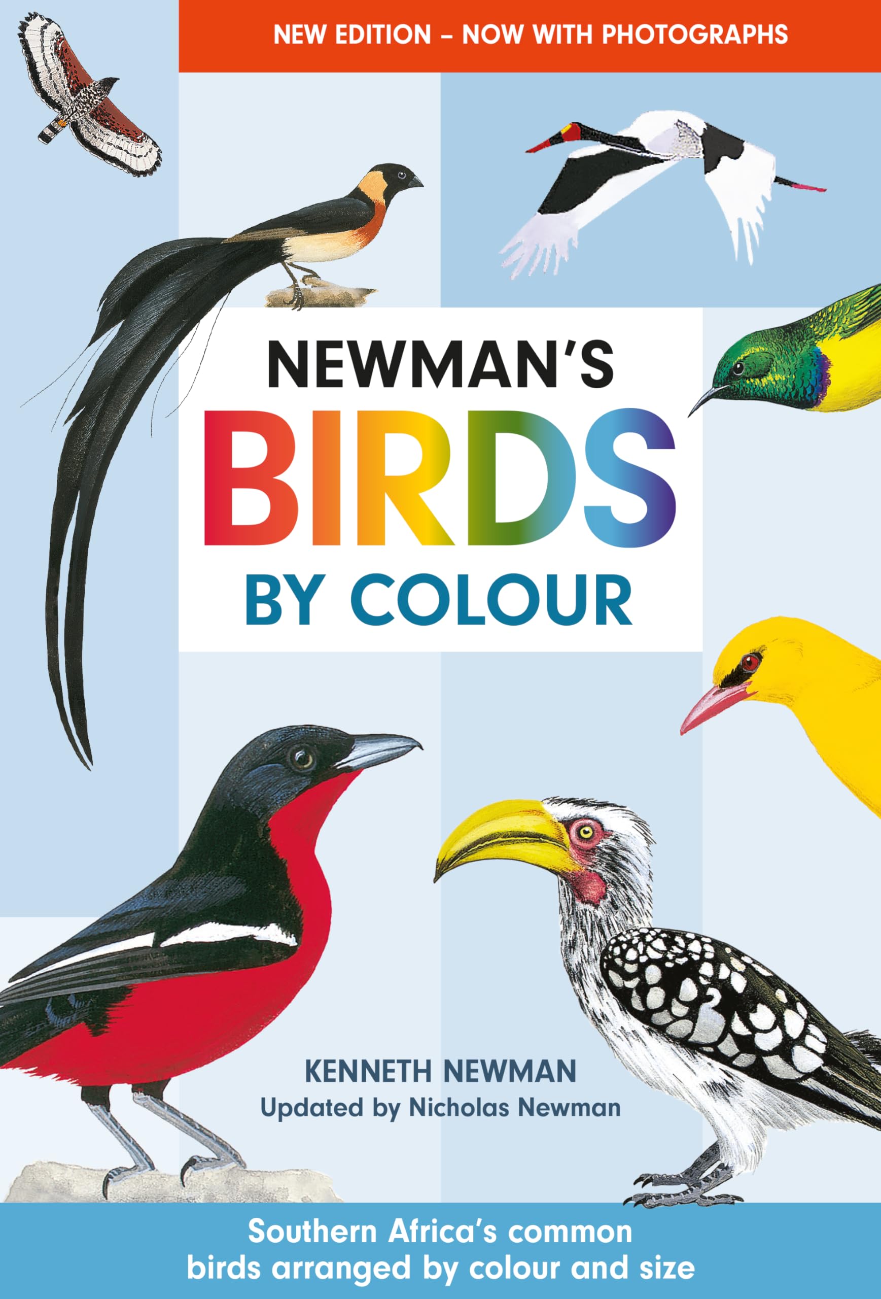 Newman's Birds by Colour : Southern Africa's Common Birds Arranged by Colour and Size