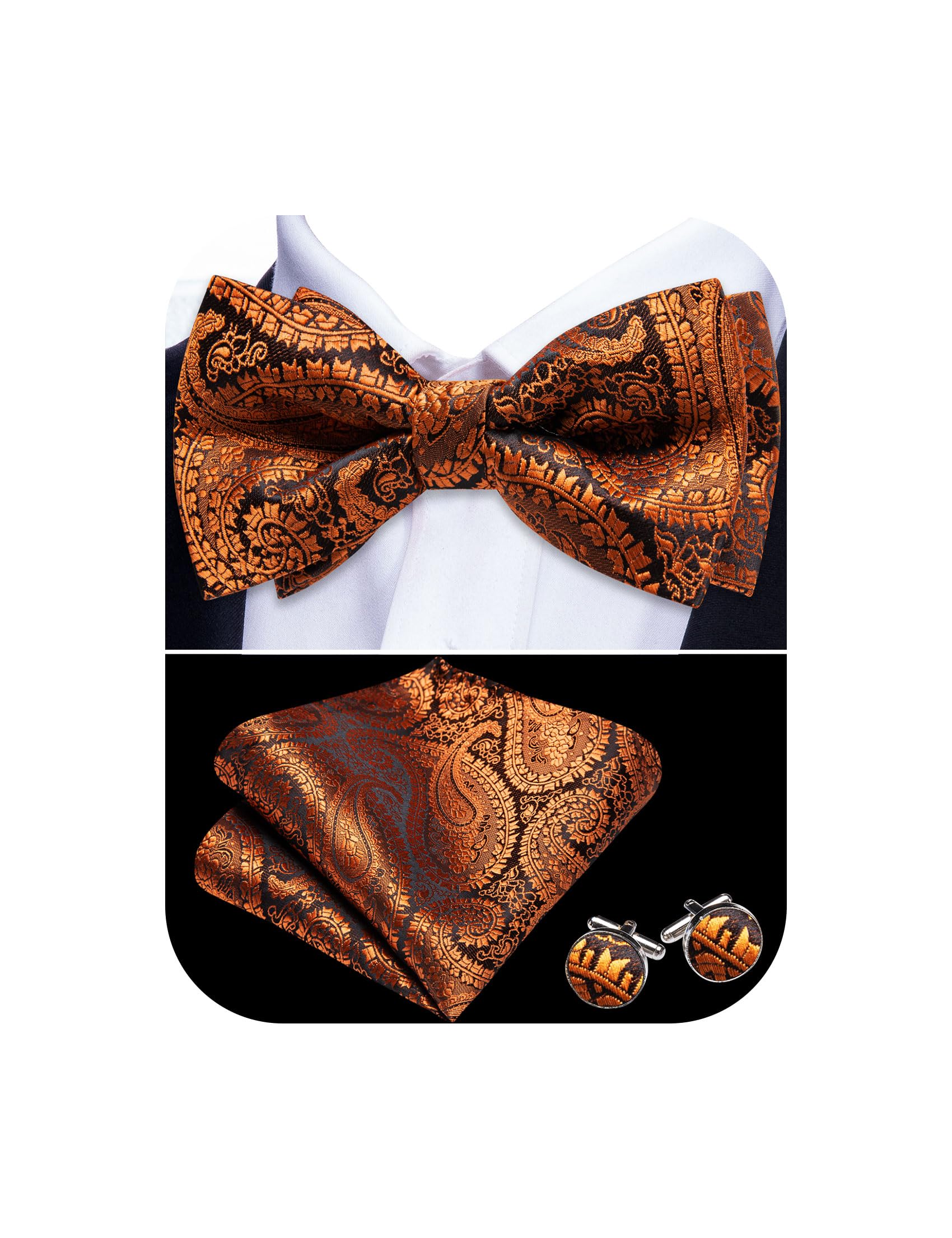 Barry.Wang Paisley Striped Bow Tie for Men Silk Pre-Tied Bowtie Set
