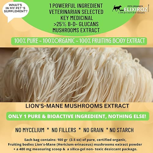 Miniatura 5 de Melena de león pura >25% β-glucanos, 100% hongos fructíferos 8-12: 1 extracto para perros y gatos Cerebro, nervios y salud intestinal. Salud