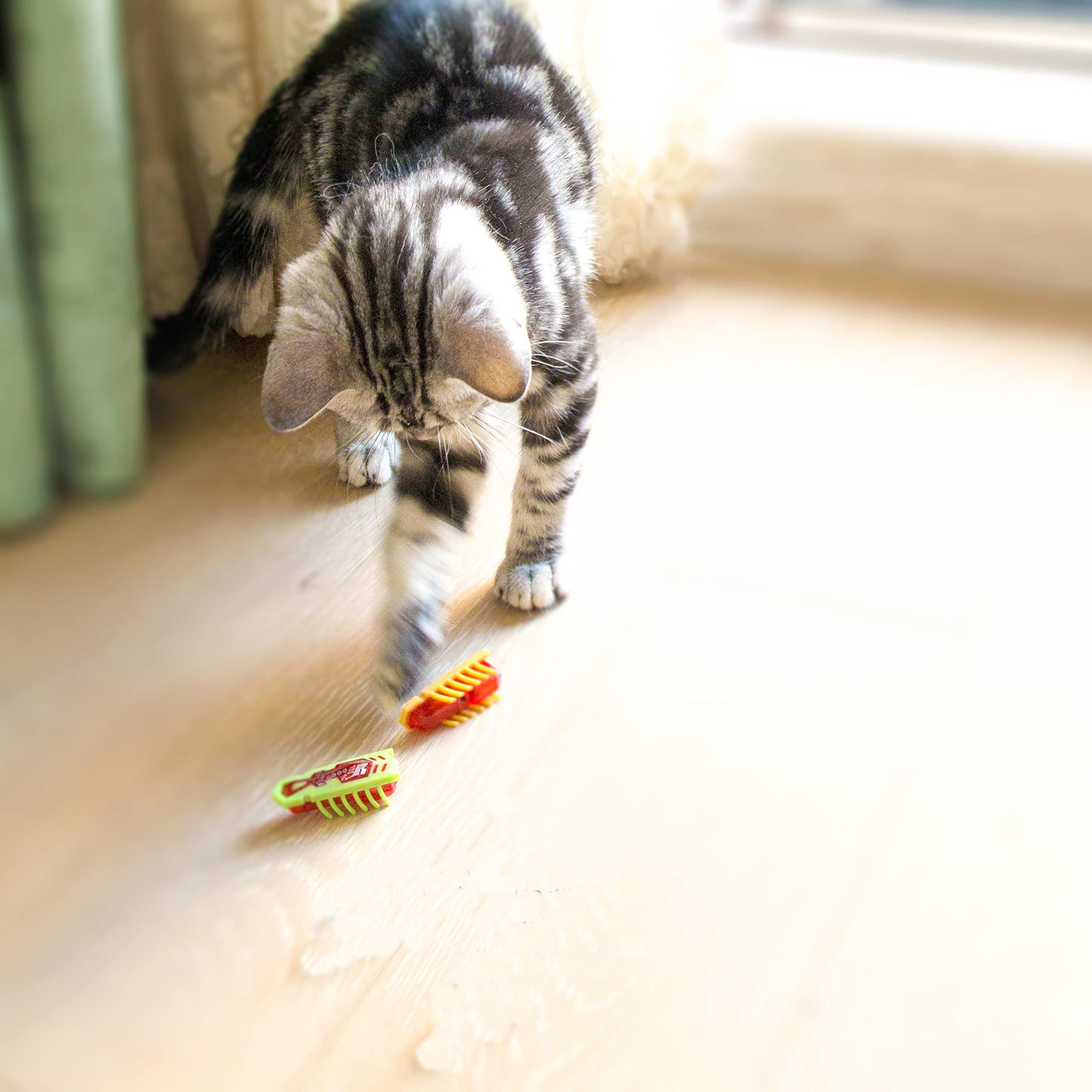 Lot de 2 jouets interactifs pour chat, mini robot électronique coccinelle, jouet éducatif pour chat d'intérieur