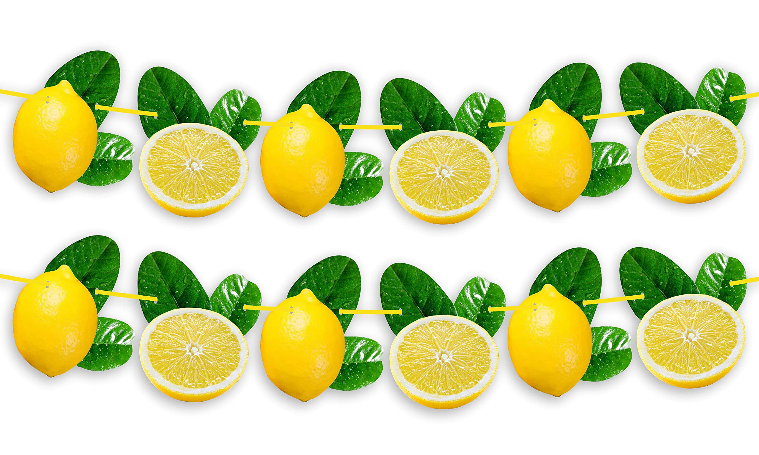Seyal® Lemon Garland Decoration