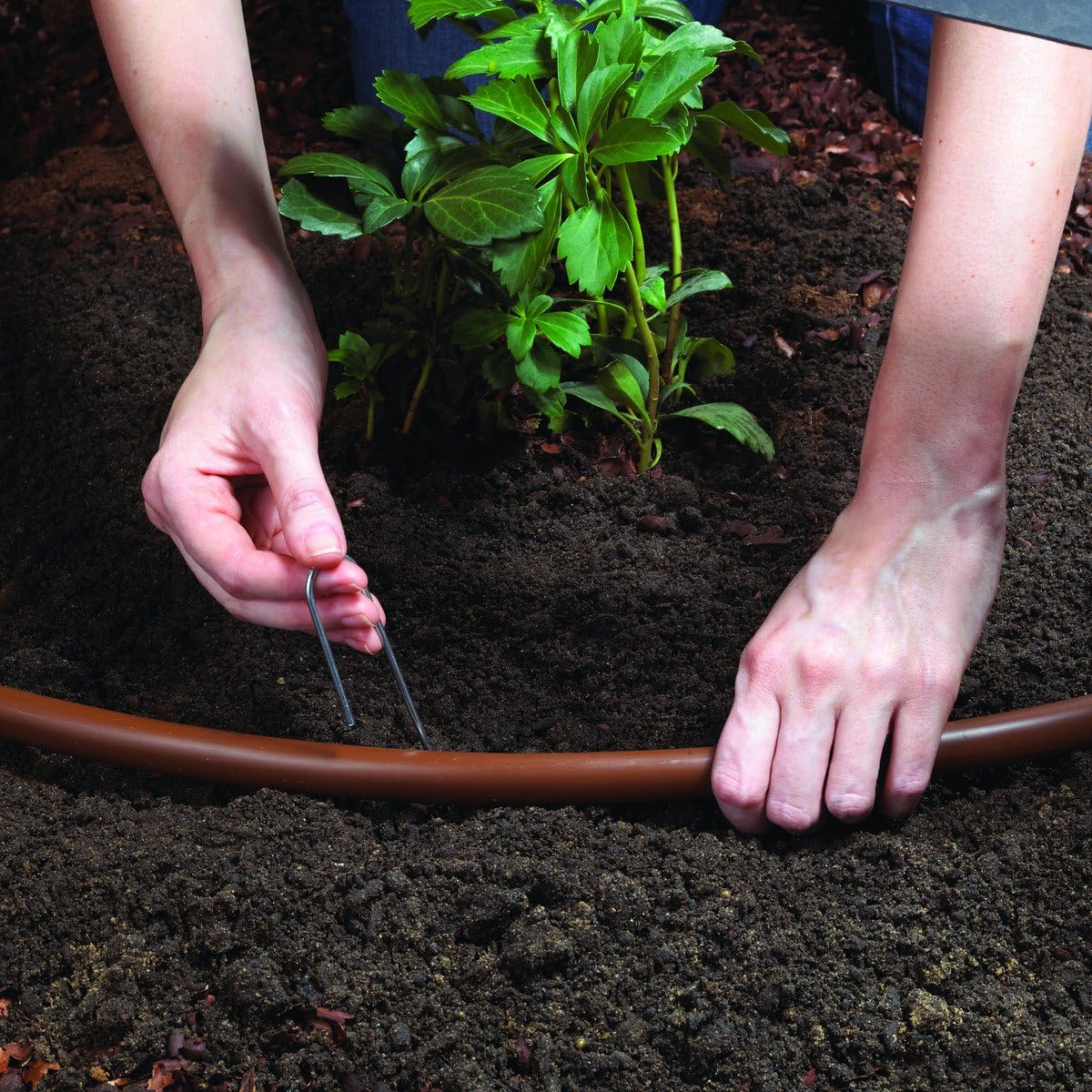 Gеt Sресіаl Prісе Raindrip SDFSTH1P Automatic Watering Kit with Timer, Black Brown TOP оƒƒERS Raindrip SDFSTH1P Automatic Watering Kit with Timer, Black Brown