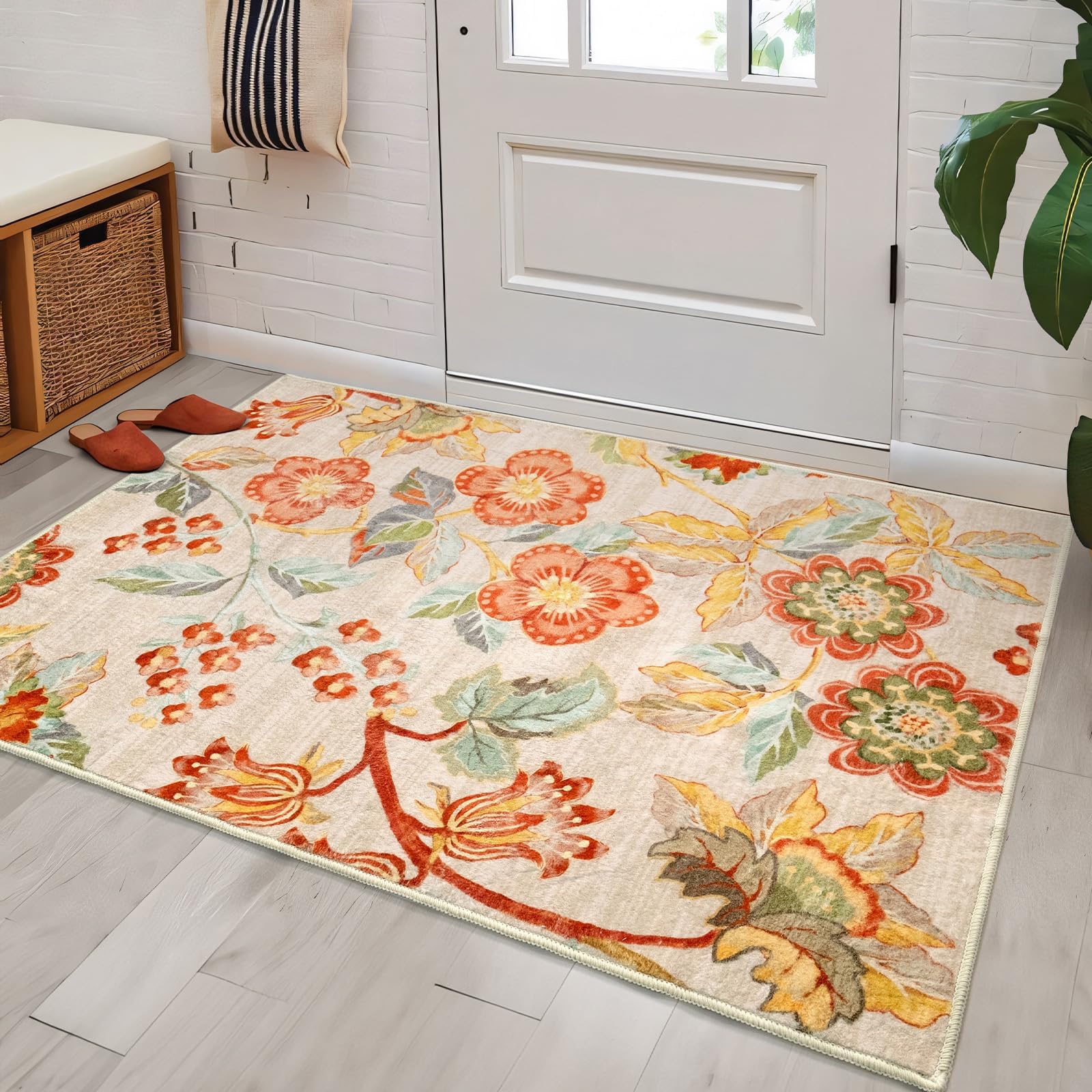 Castage 2'x3' Rugs for Entryway Small Rugs for Bedroom