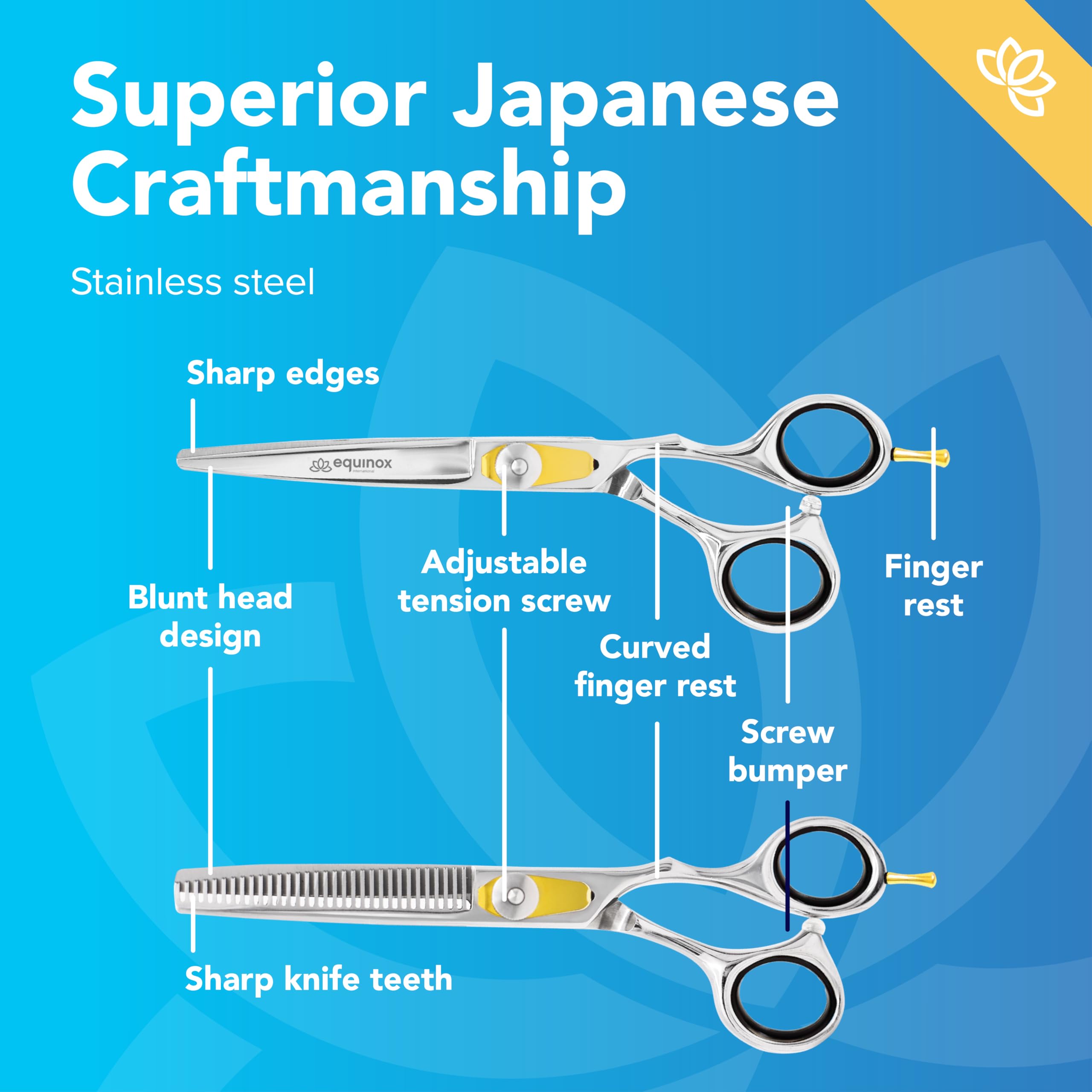 Amazon | Equinox International プロフェッショナルレイザーエッジ