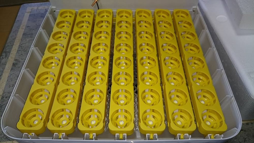 孵化器、ケージ Amazon | 爬虫類専用孵卵器 12枚 卵インキュベータートレイ 孵卵