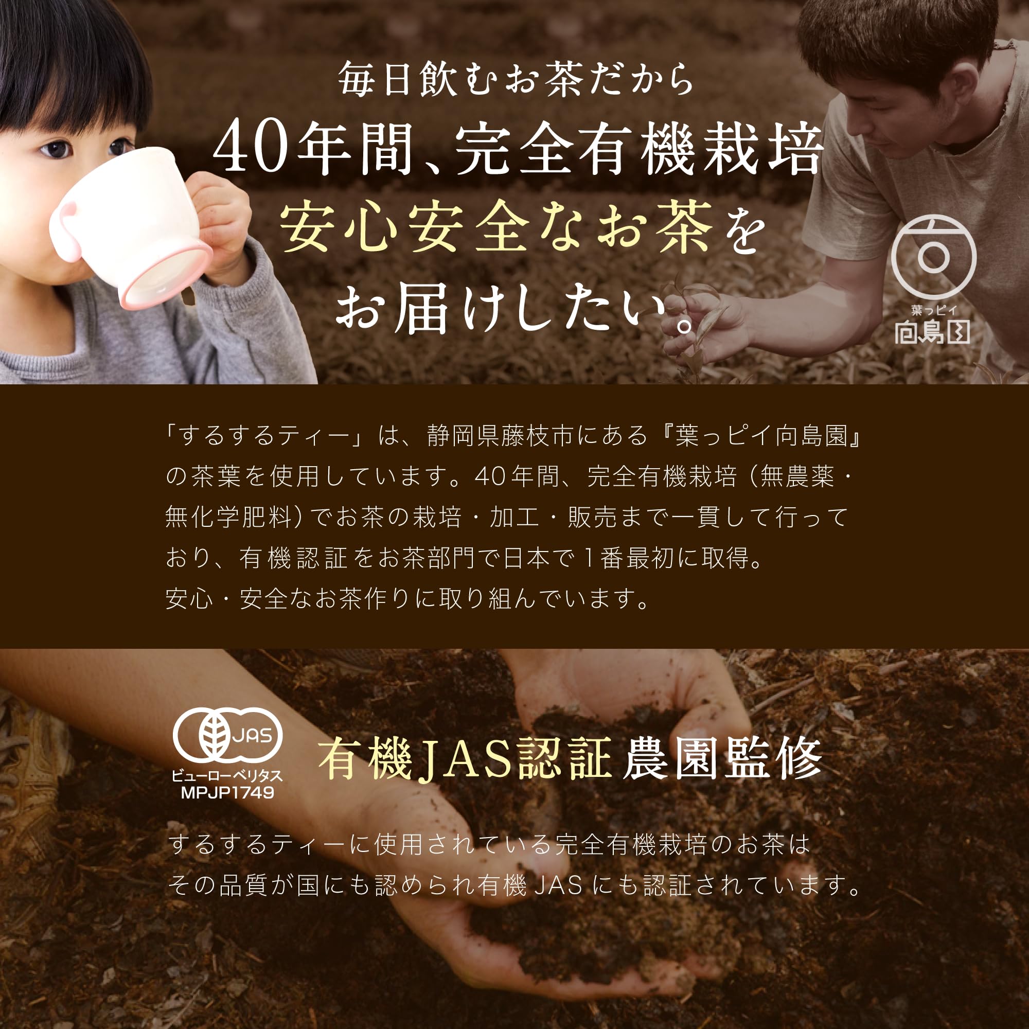 Amazon | 養生仙薬 するするティー 三年番茶 ほうじ茶仕立て ノン