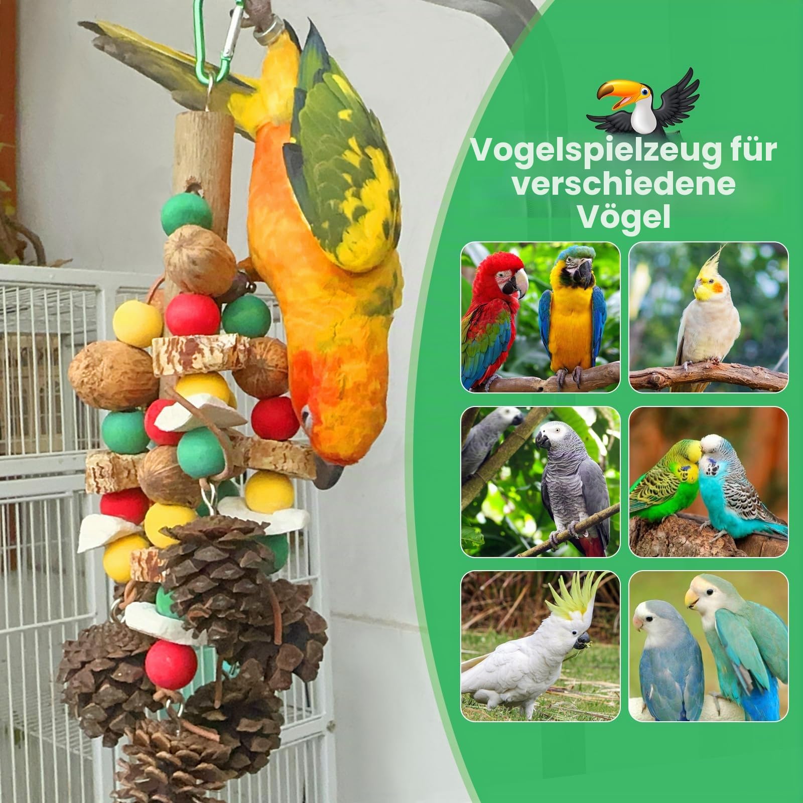 MQUPIN Papageienspielzeug, nussiges, nährstoffreiches Vogelspielzeug, natürliches hölzernes Beißspielzeug für Papageienkäfige, mit Tintenfischknochen, Kiefernzapfen, hölzernen Mangos und Karambole
