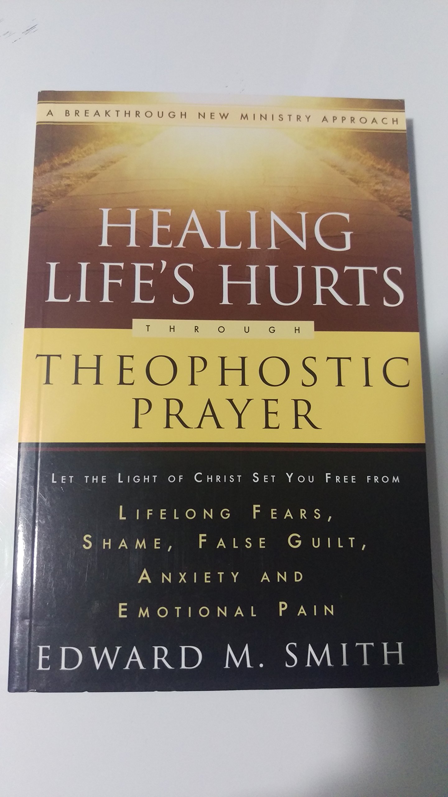 Healing Life's Hurts Through Theophostic Prayer: Let The Light Of Christ Set You Free From Lifelong Fears, Shame, False Guilt, Anxiety And Emotional Pain