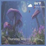 熱帯雨林の音とともに楽しむ魔法のキノコの森 - 時計とライブ予報付きの魅惑的なフルート