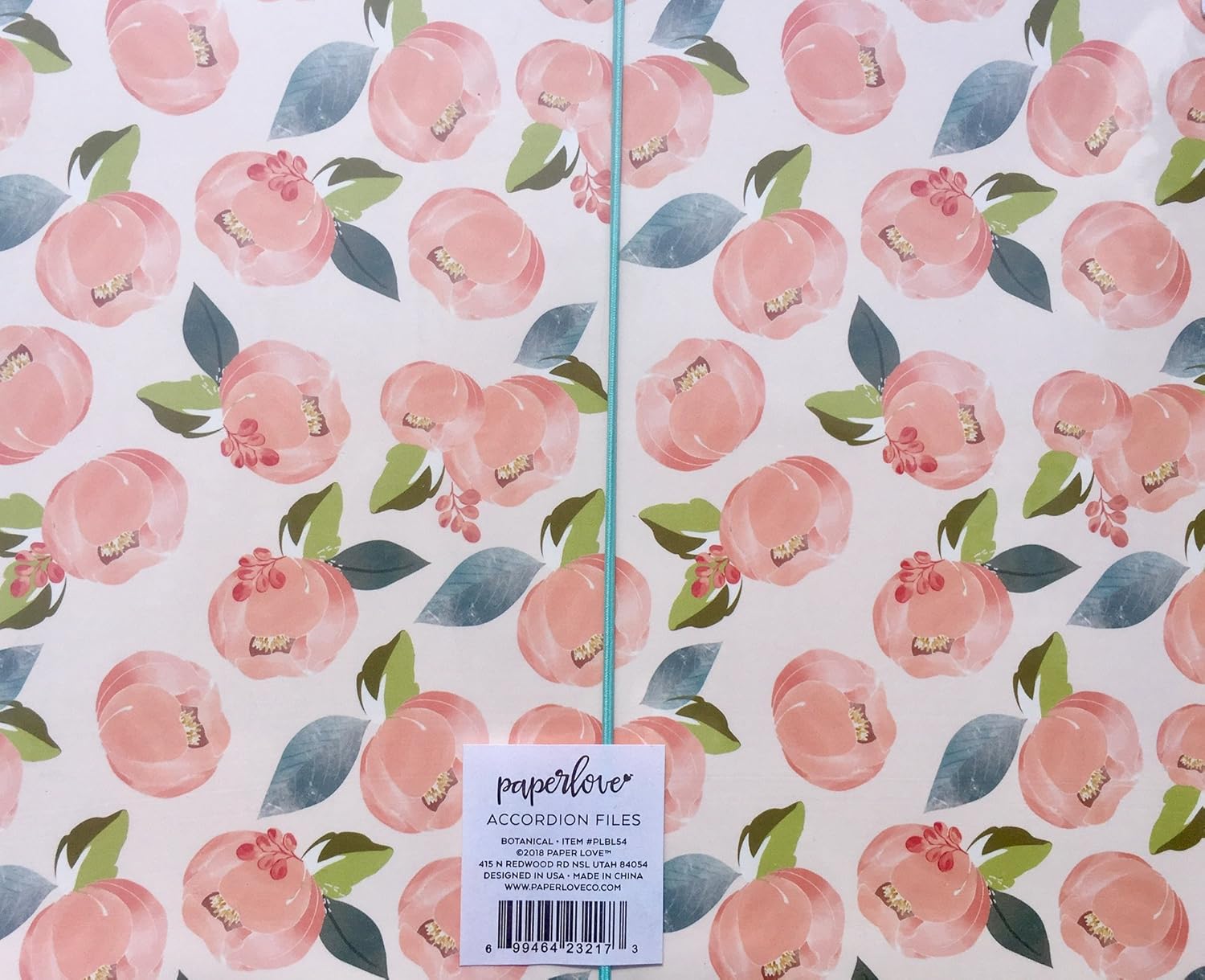 Paper Love Botanical Accordion File Holders (PLBL54)